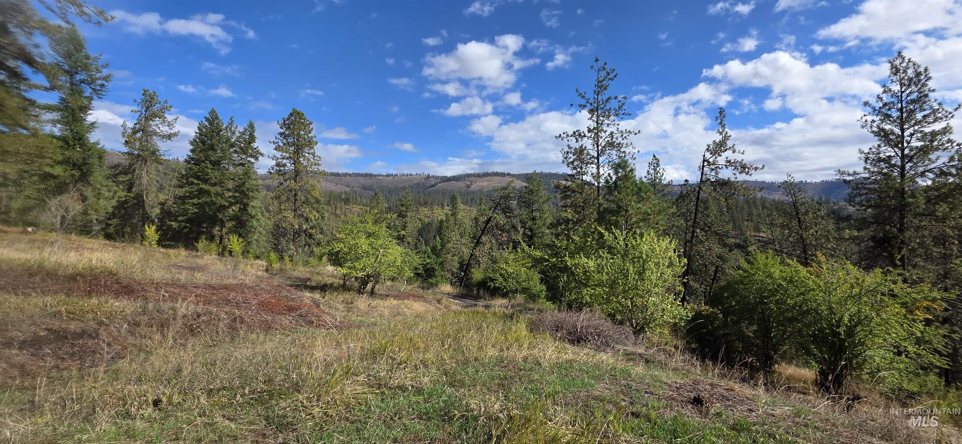 Mountain view featuring a heavily wooded area