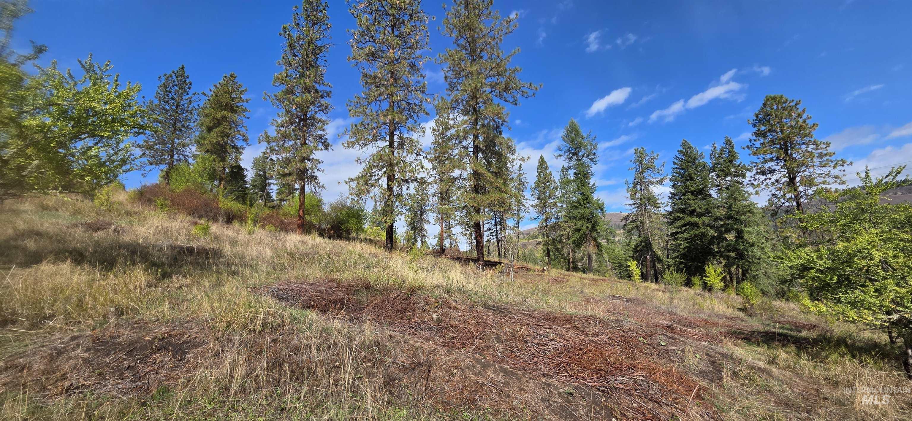View of undeveloped land
