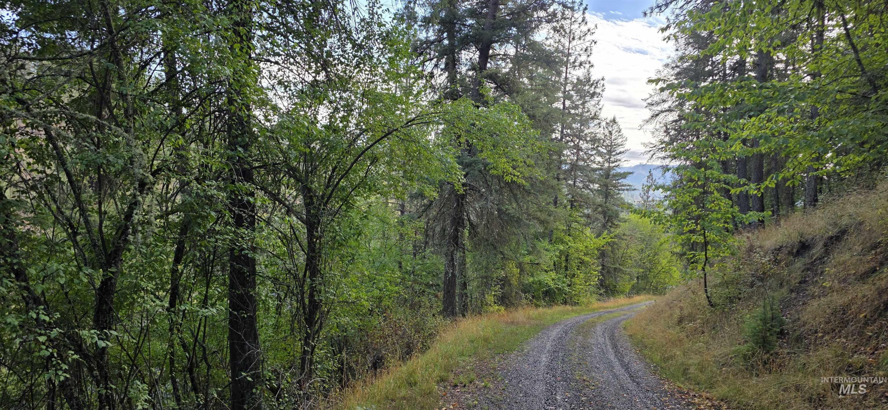 View of street with a view of trees