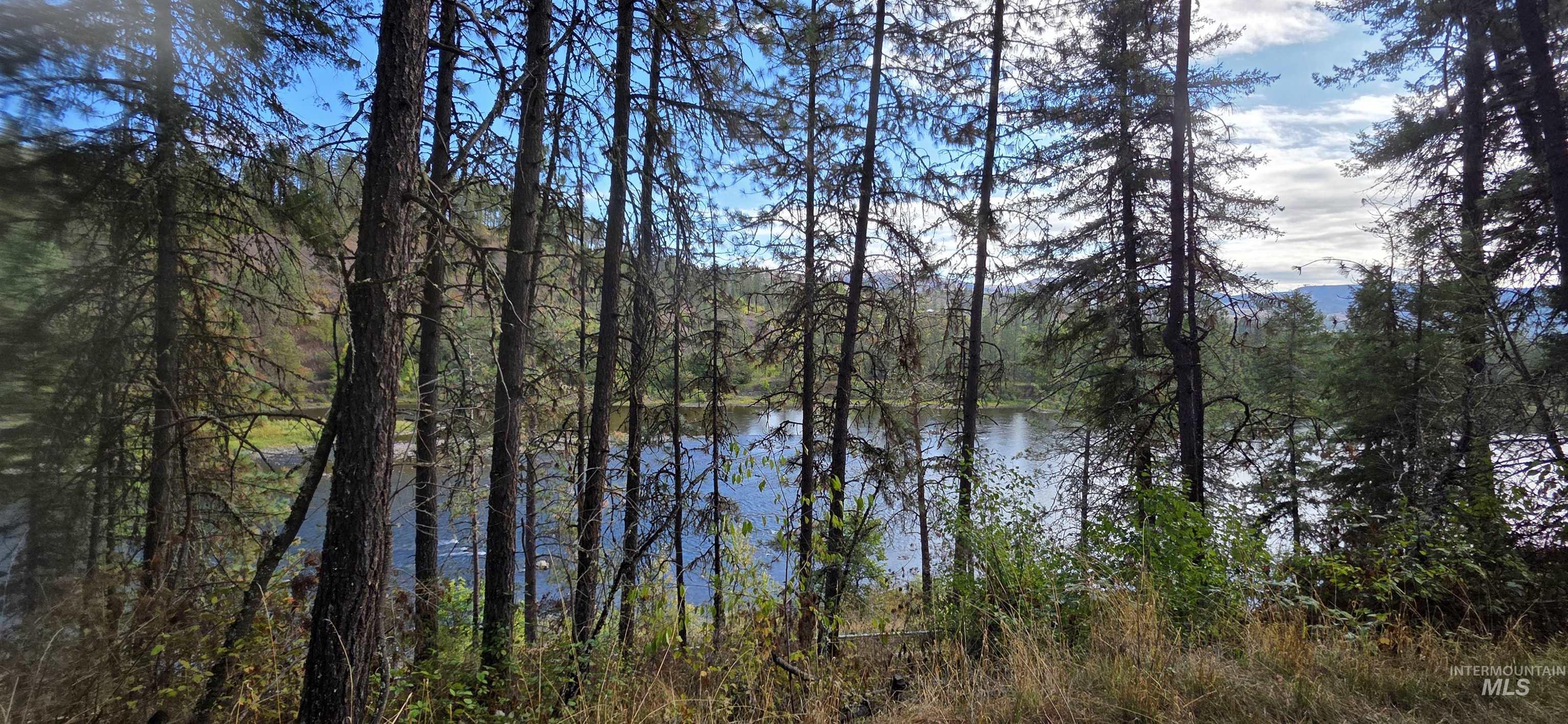 Water view featuring a heavily wooded area