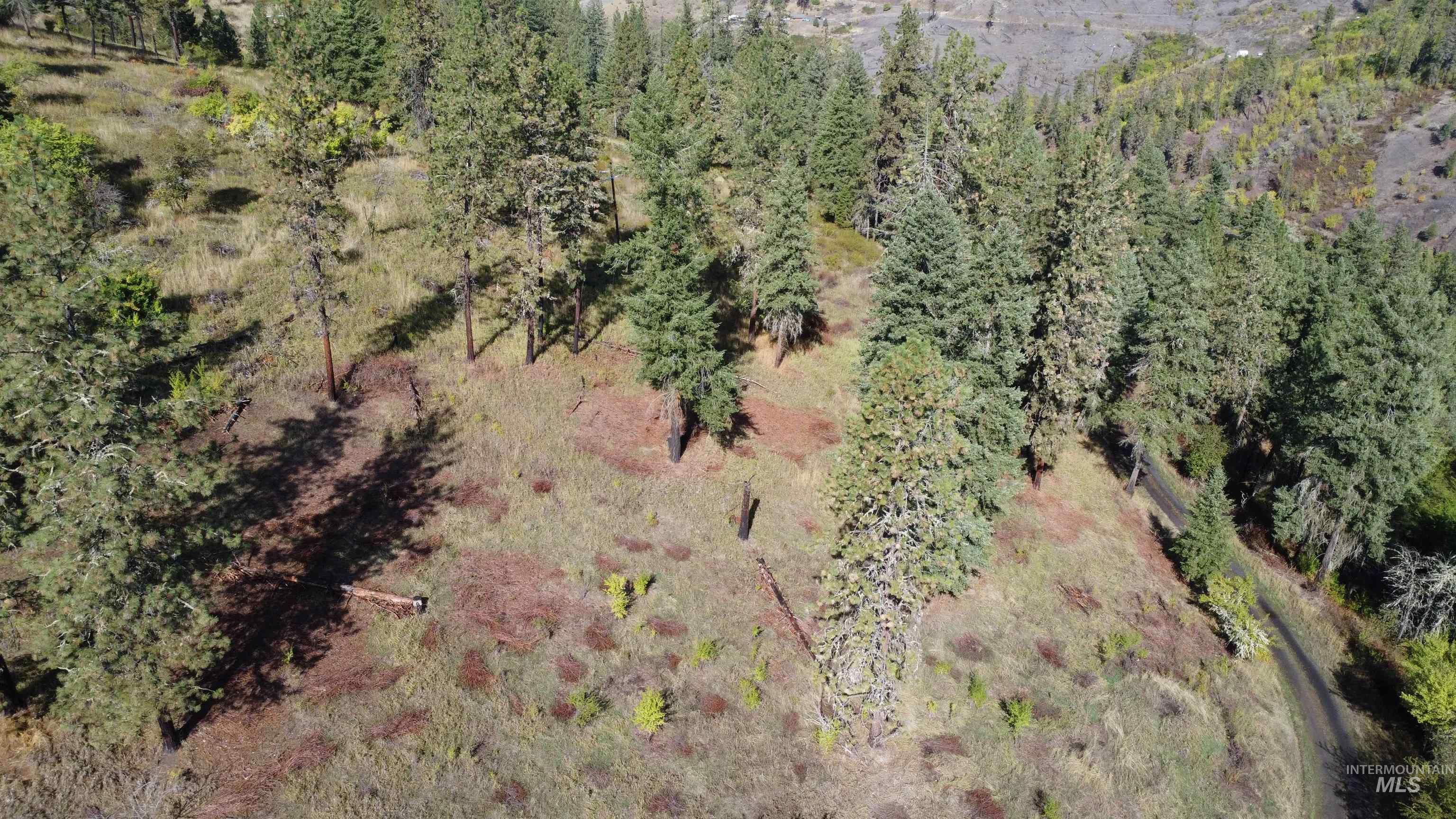 Aerial overview of property's location featuring a forest