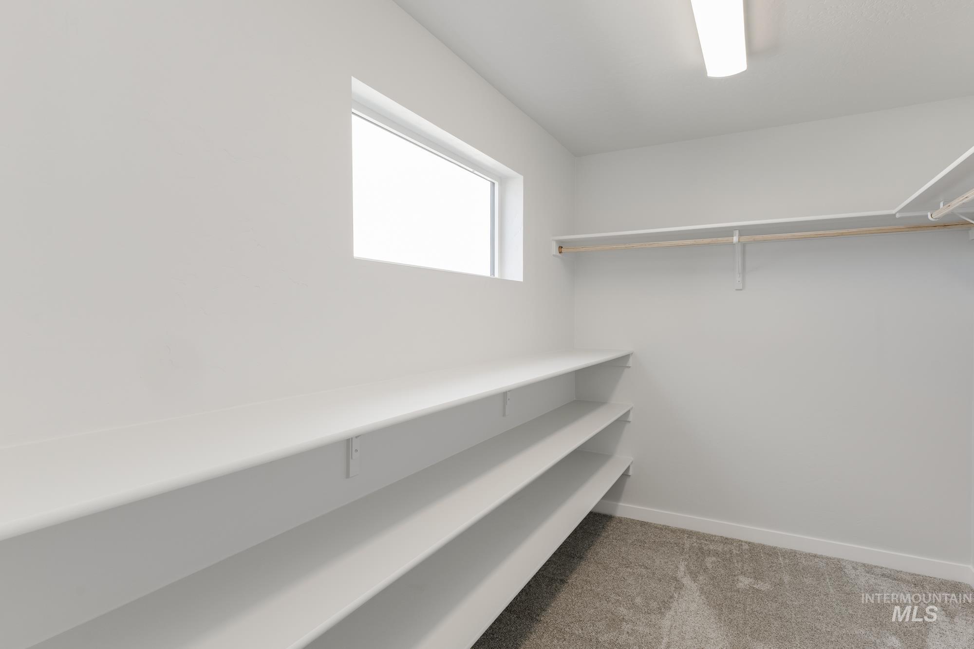 Spacious closet with light carpet