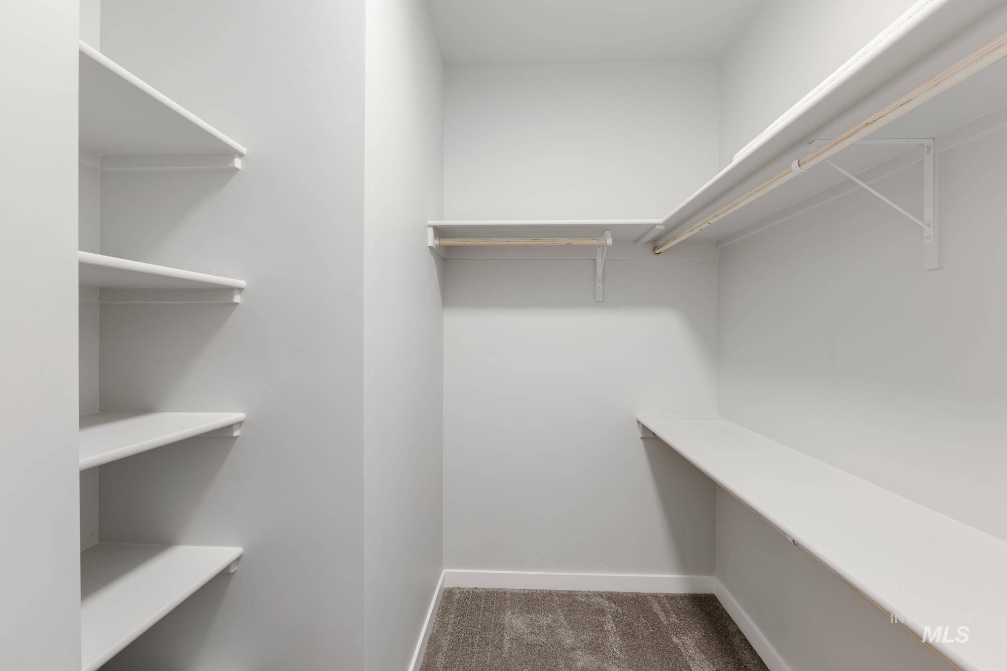 Spacious closet with dark carpet