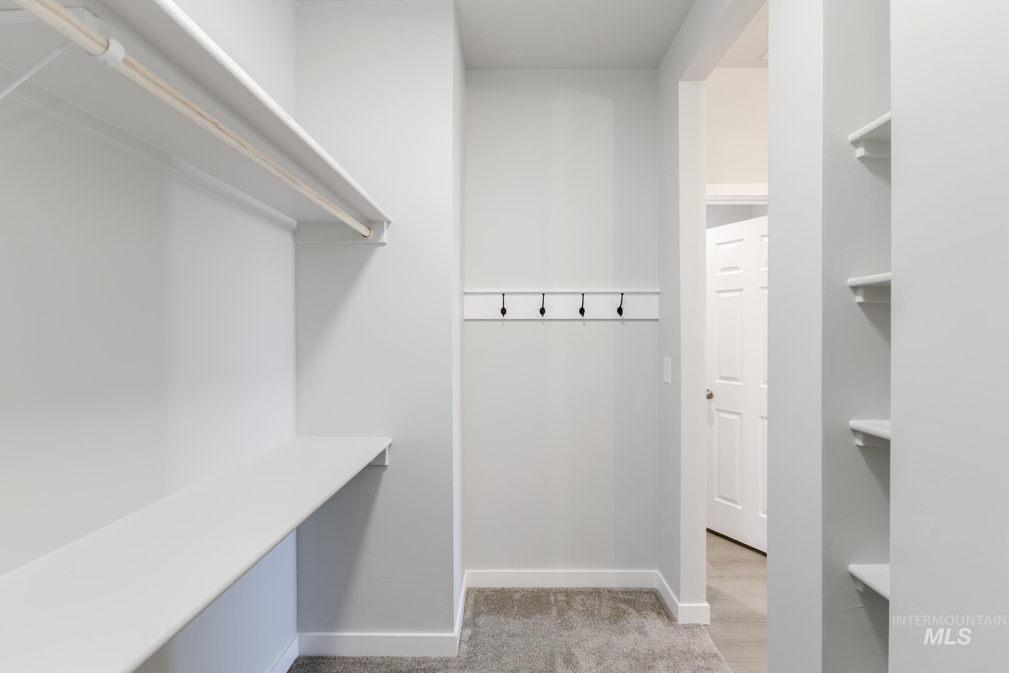 Spacious closet with light carpet