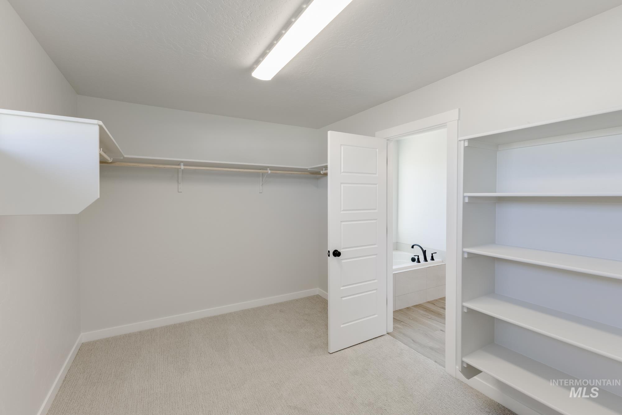 Walk in closet featuring light colored carpet