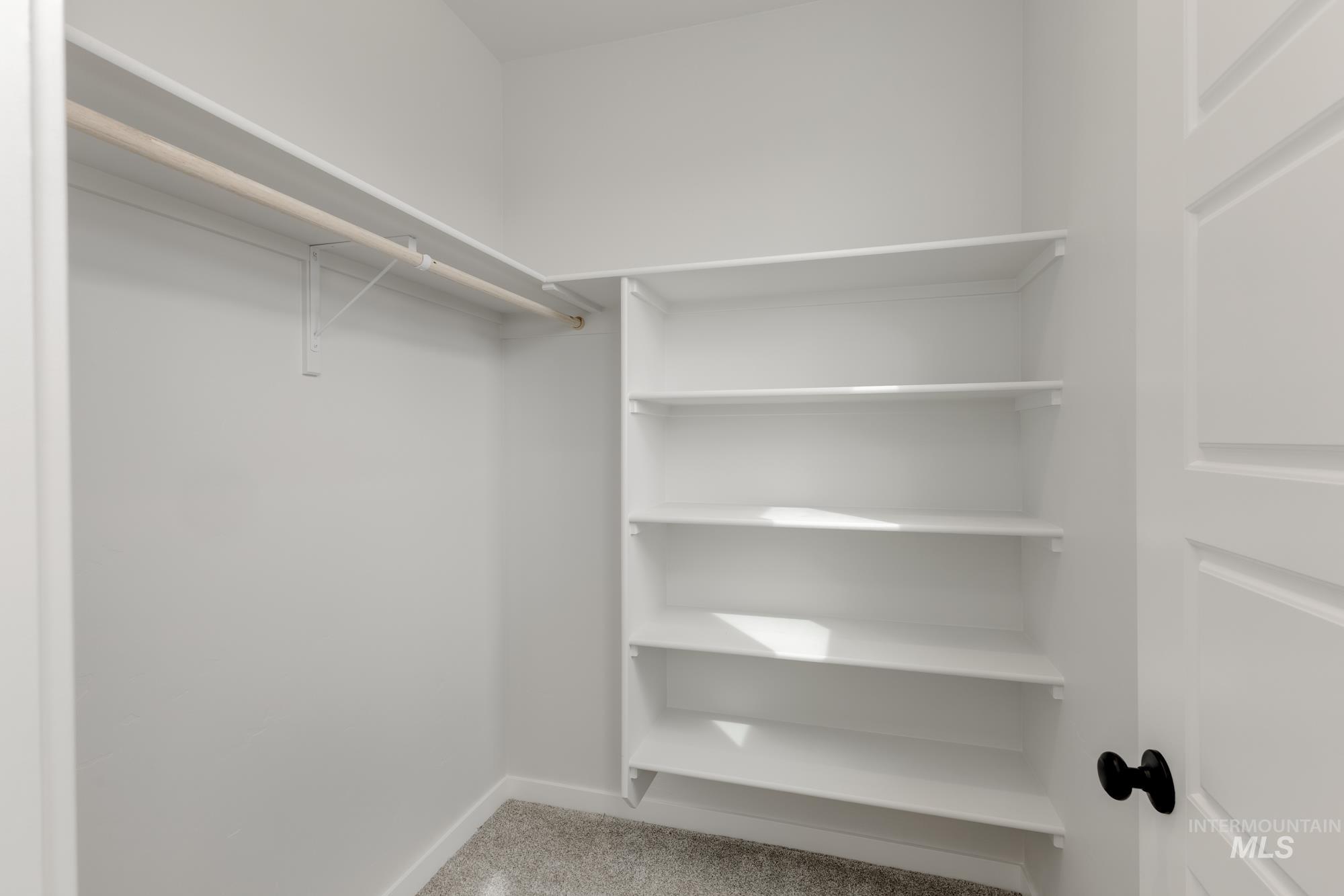 Walk in closet with light colored carpet