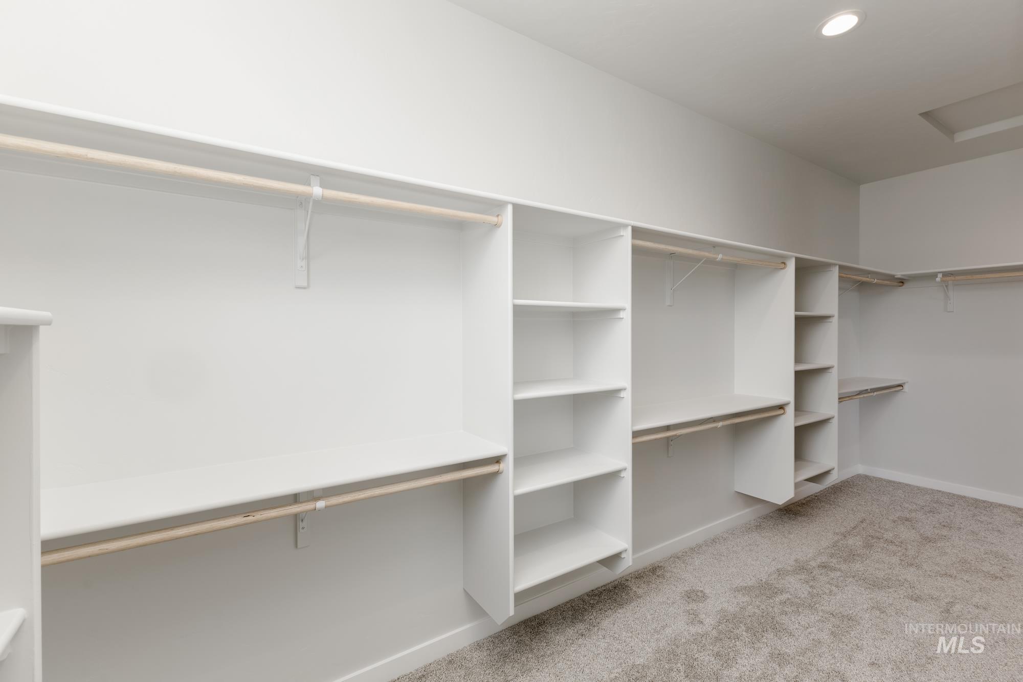 Spacious closet featuring light carpet