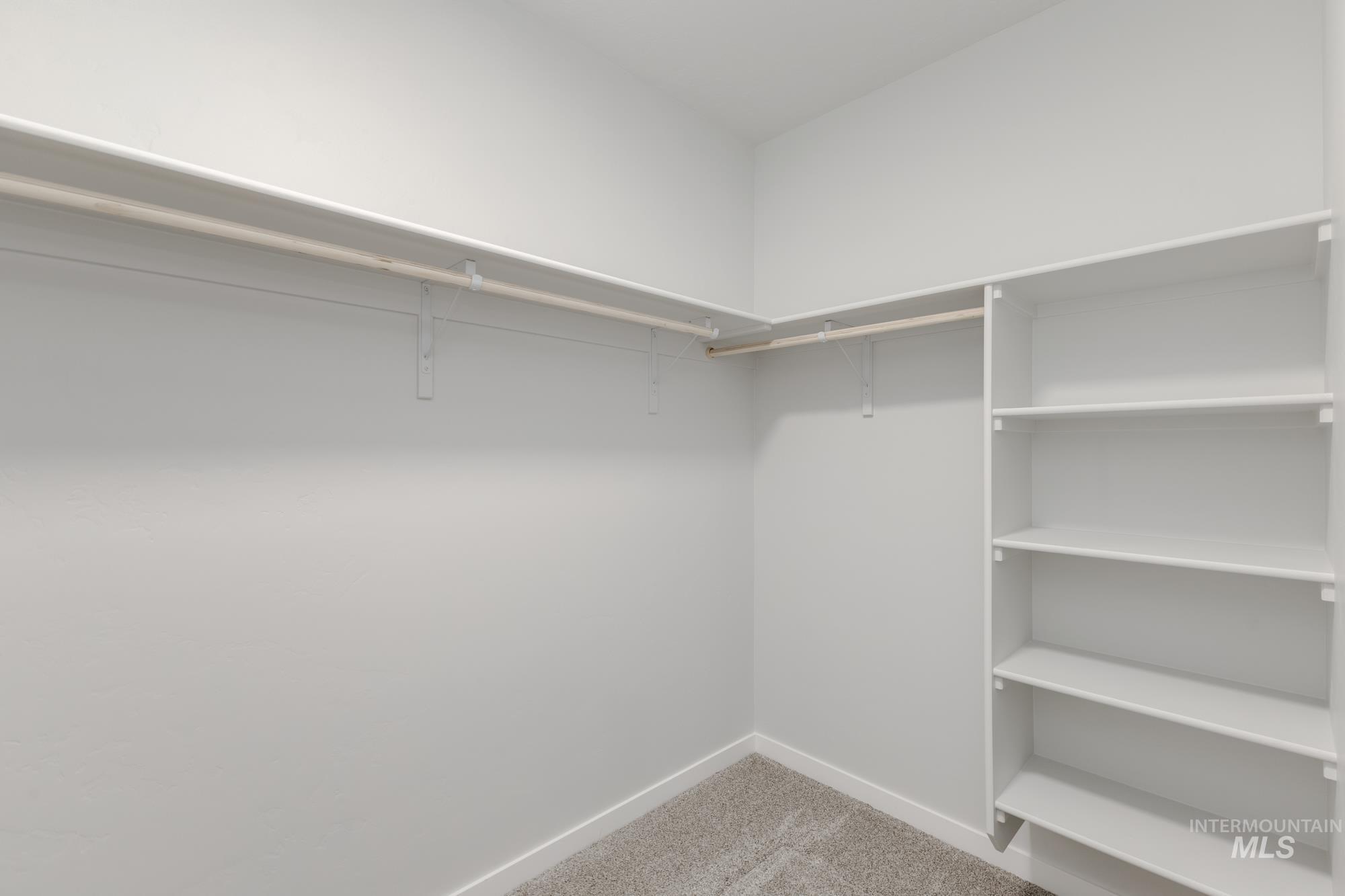Walk in closet with light carpet