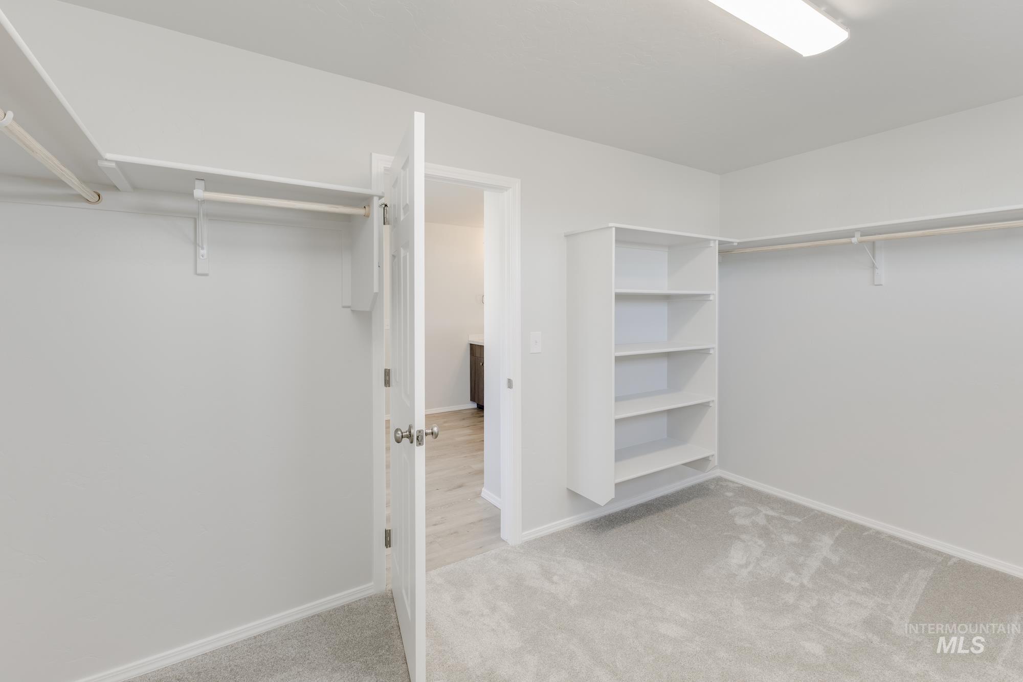 Walk in closet with light carpet