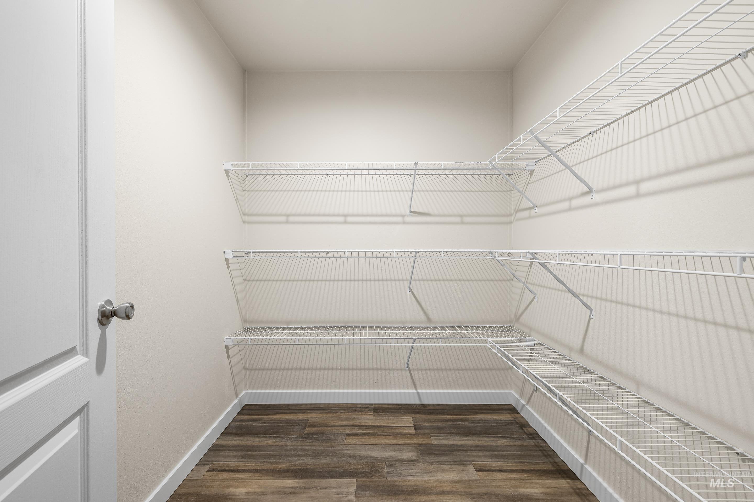 Spacious closet featuring dark wood-style floors