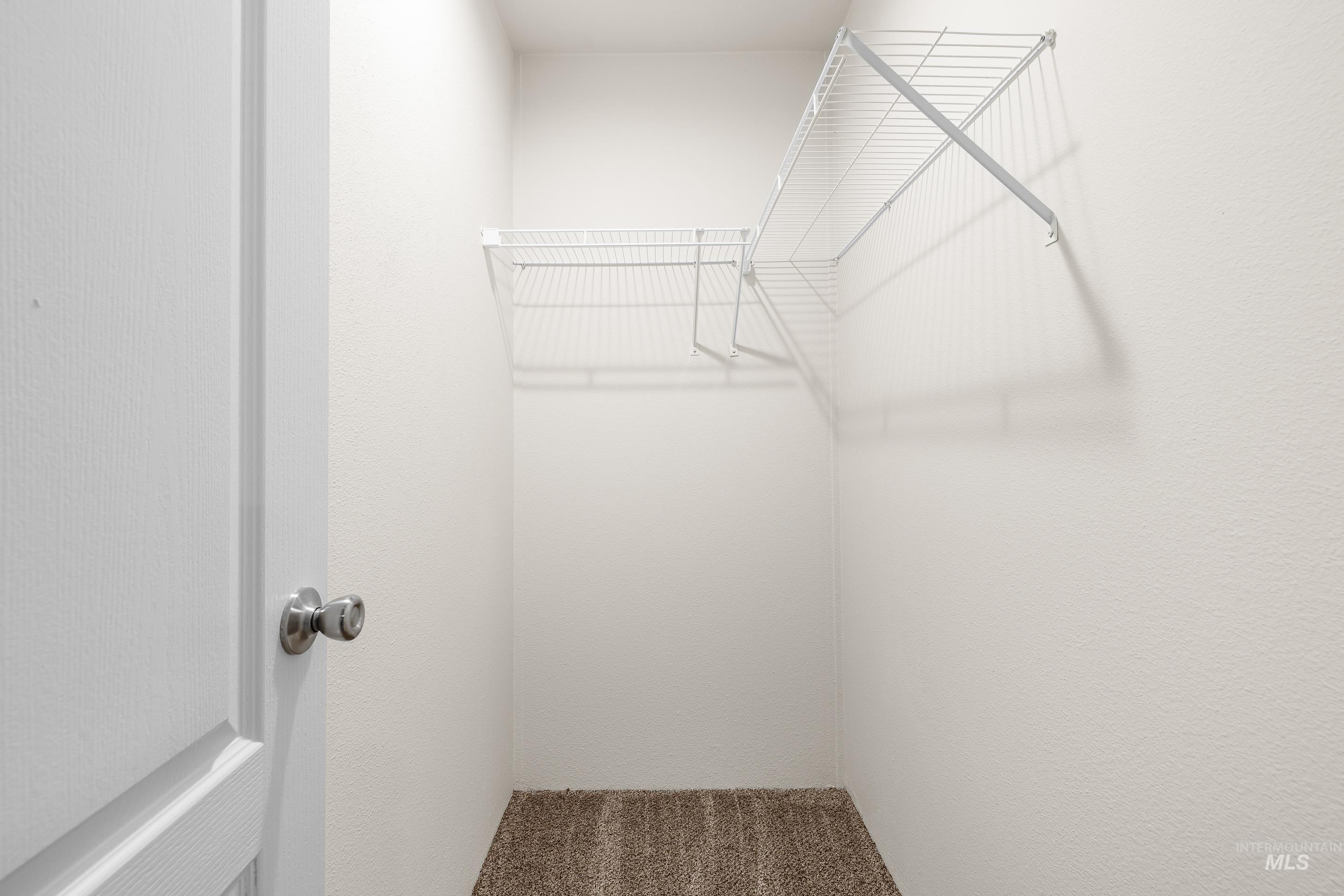 Spacious closet featuring carpet flooring