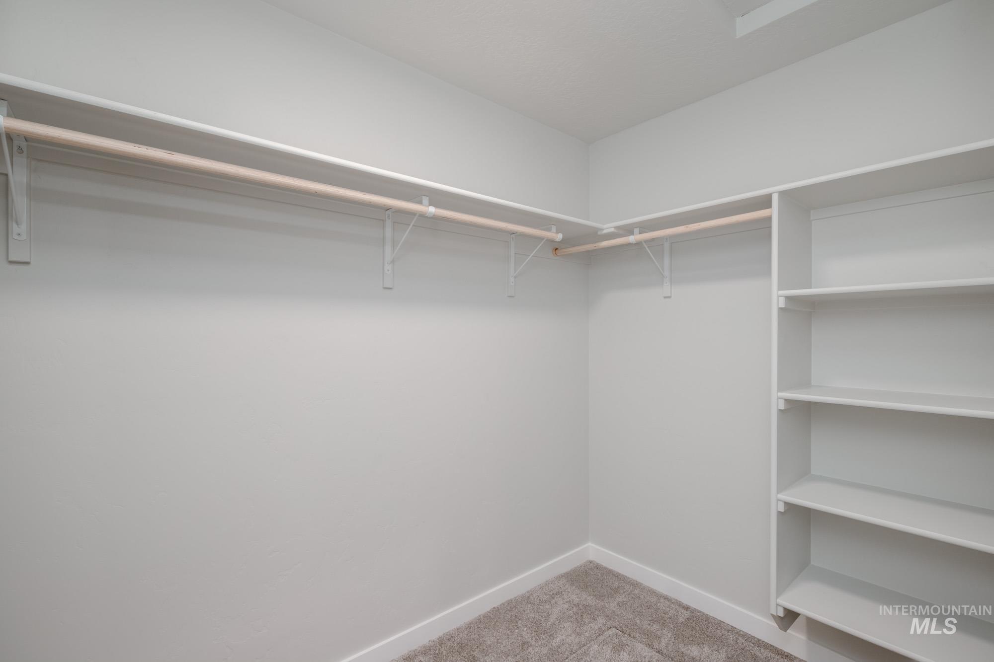 Walk in closet with light colored carpet