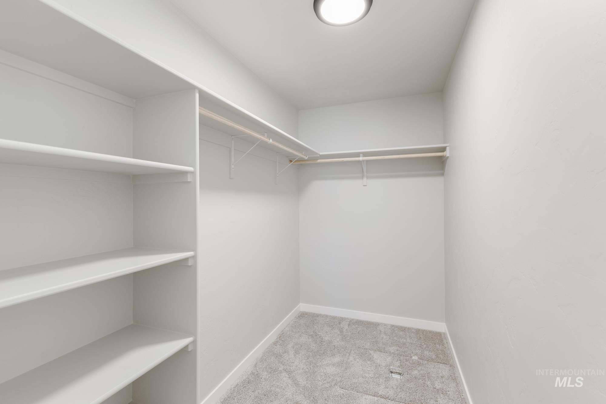 Spacious closet with light carpet