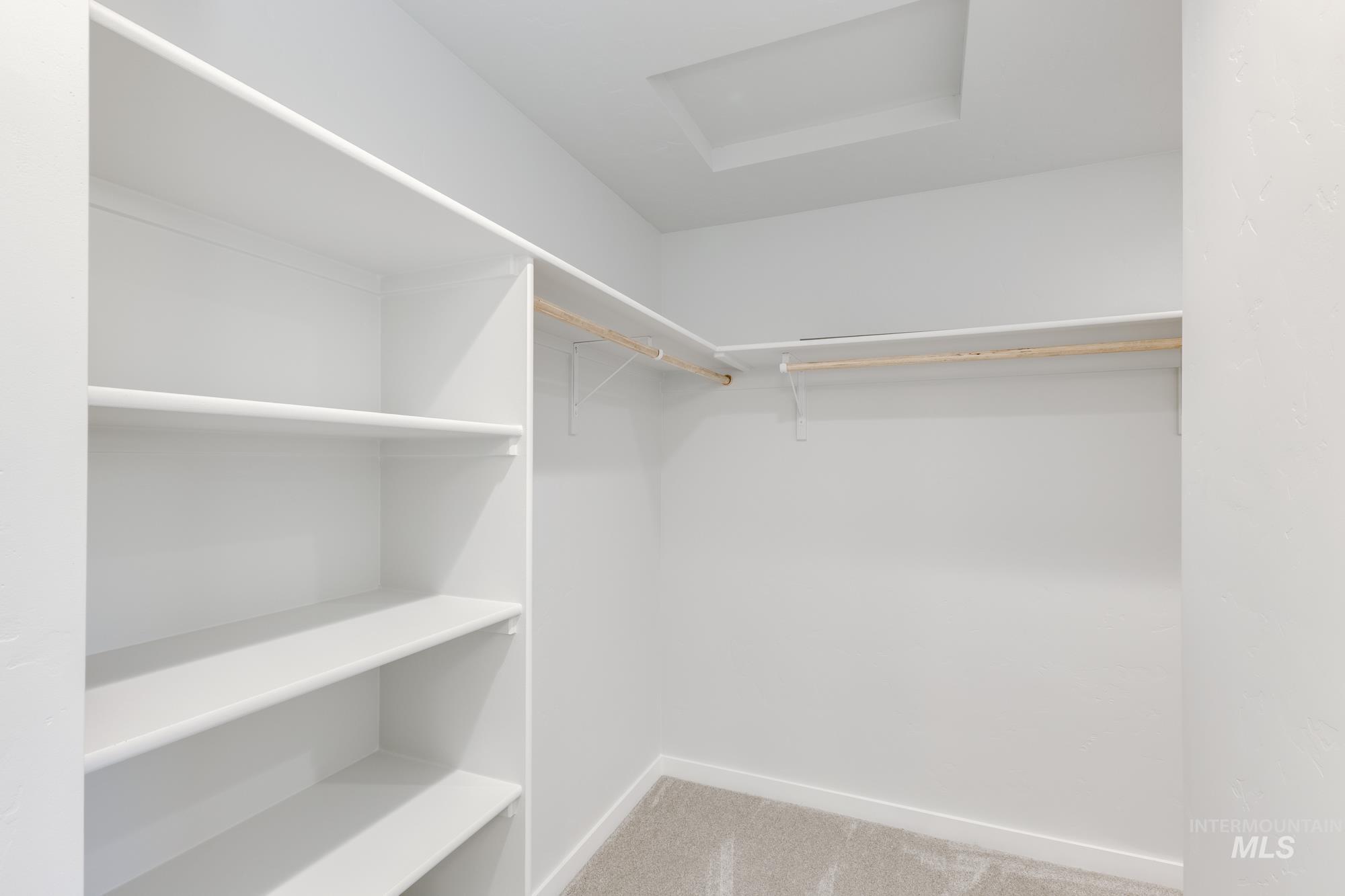Spacious closet with attic access and light carpet