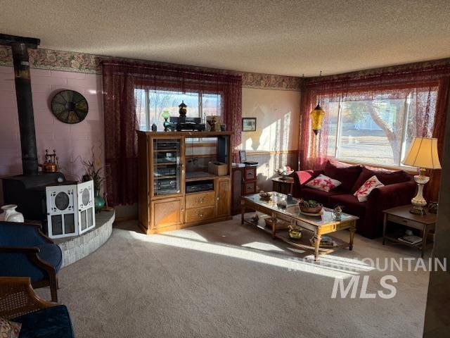 Living room featuring a wood stove, a textured ceiling, and carpet flooring