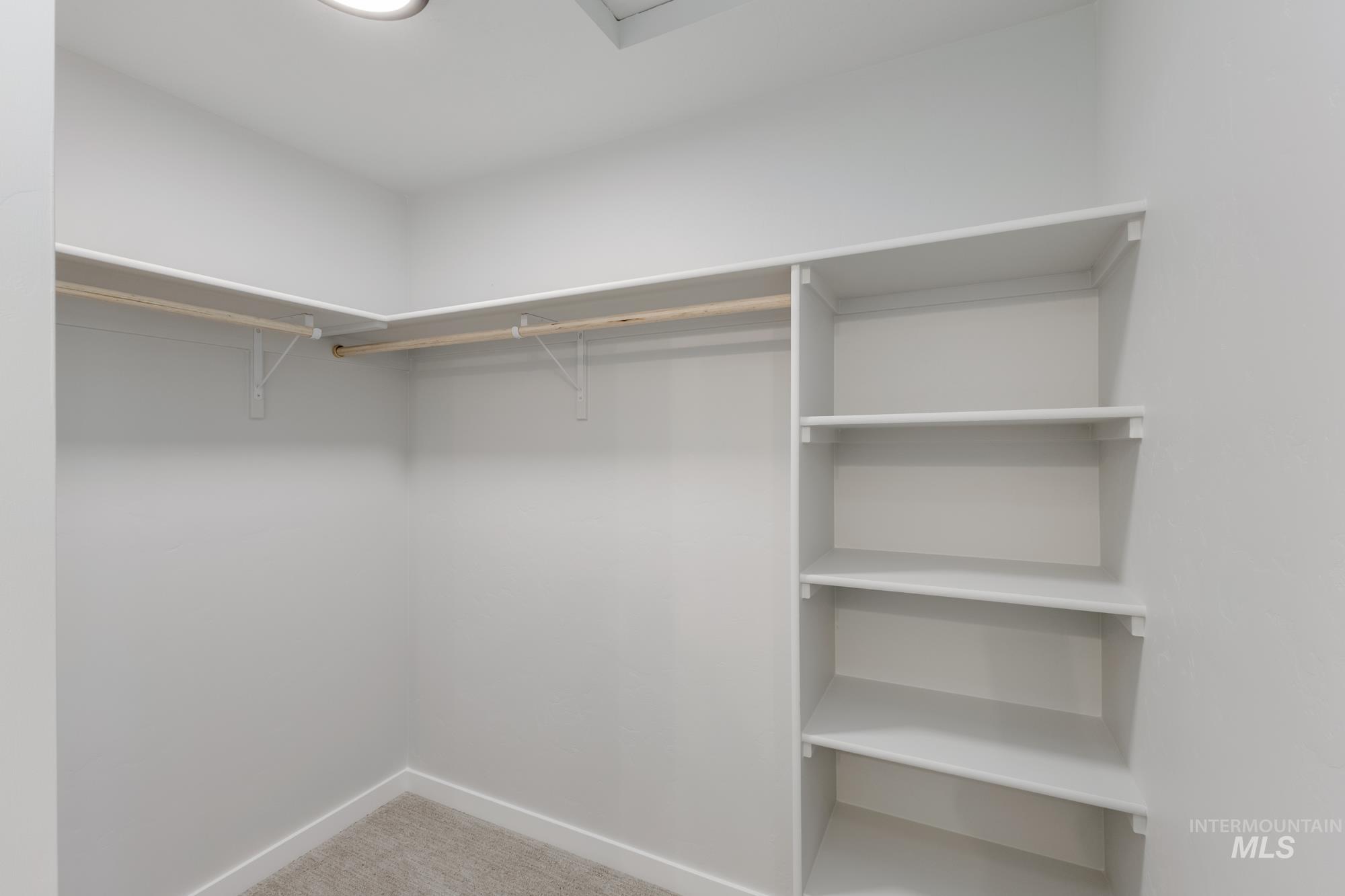 Walk in closet featuring light colored carpet