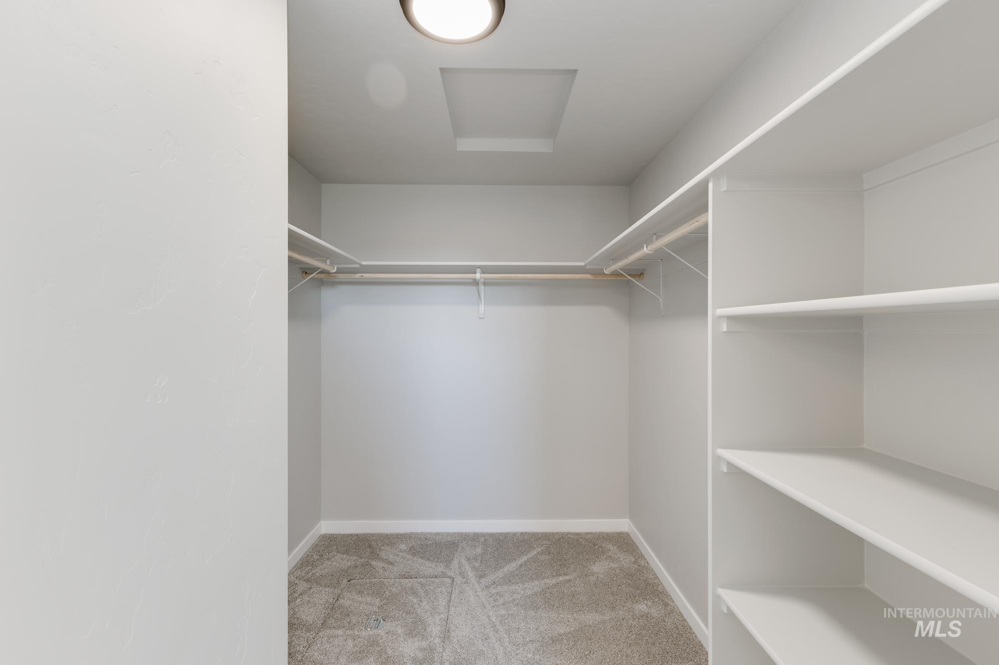 Walk in closet with light carpet and attic access