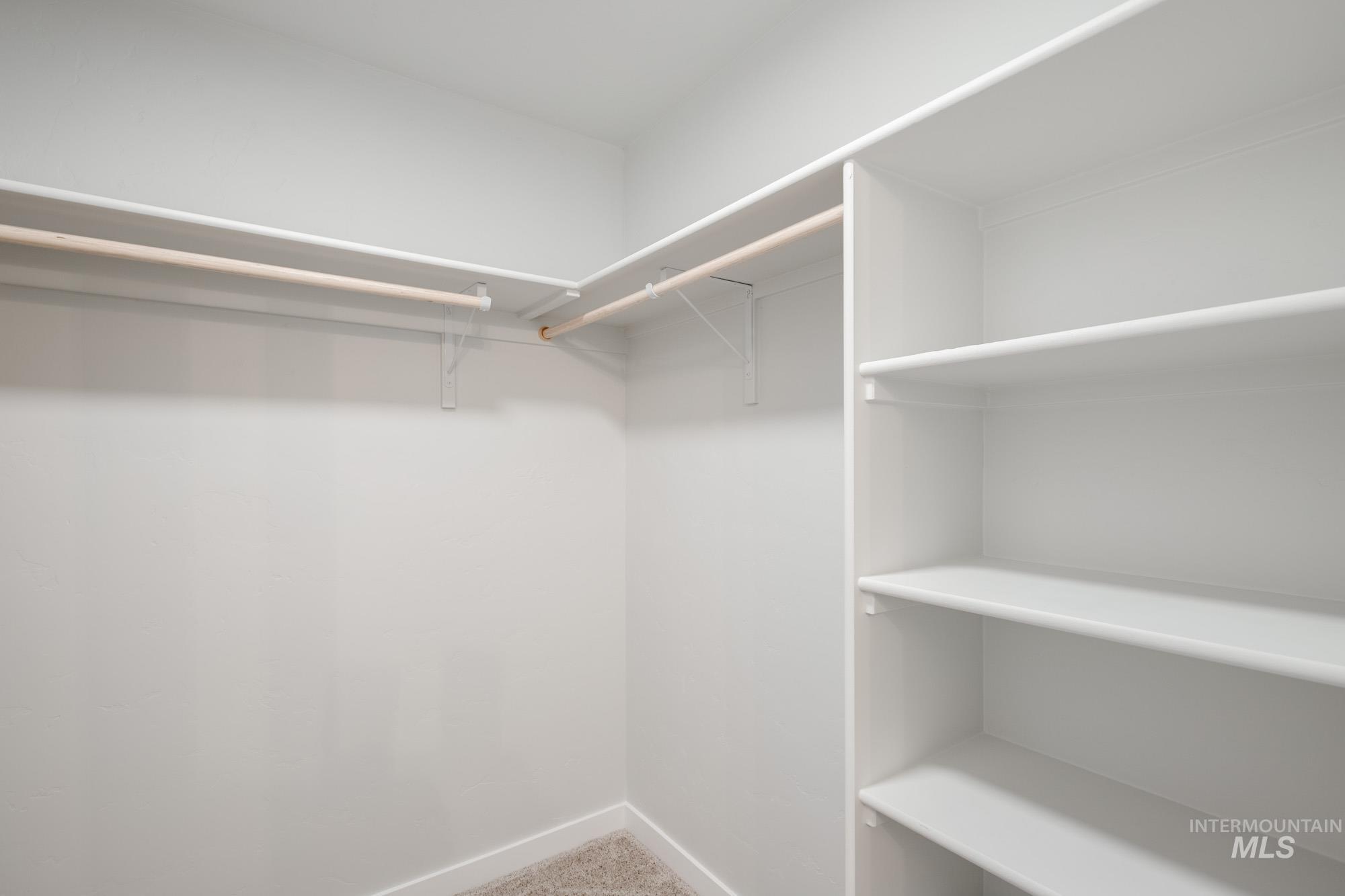 Walk in closet with light carpet