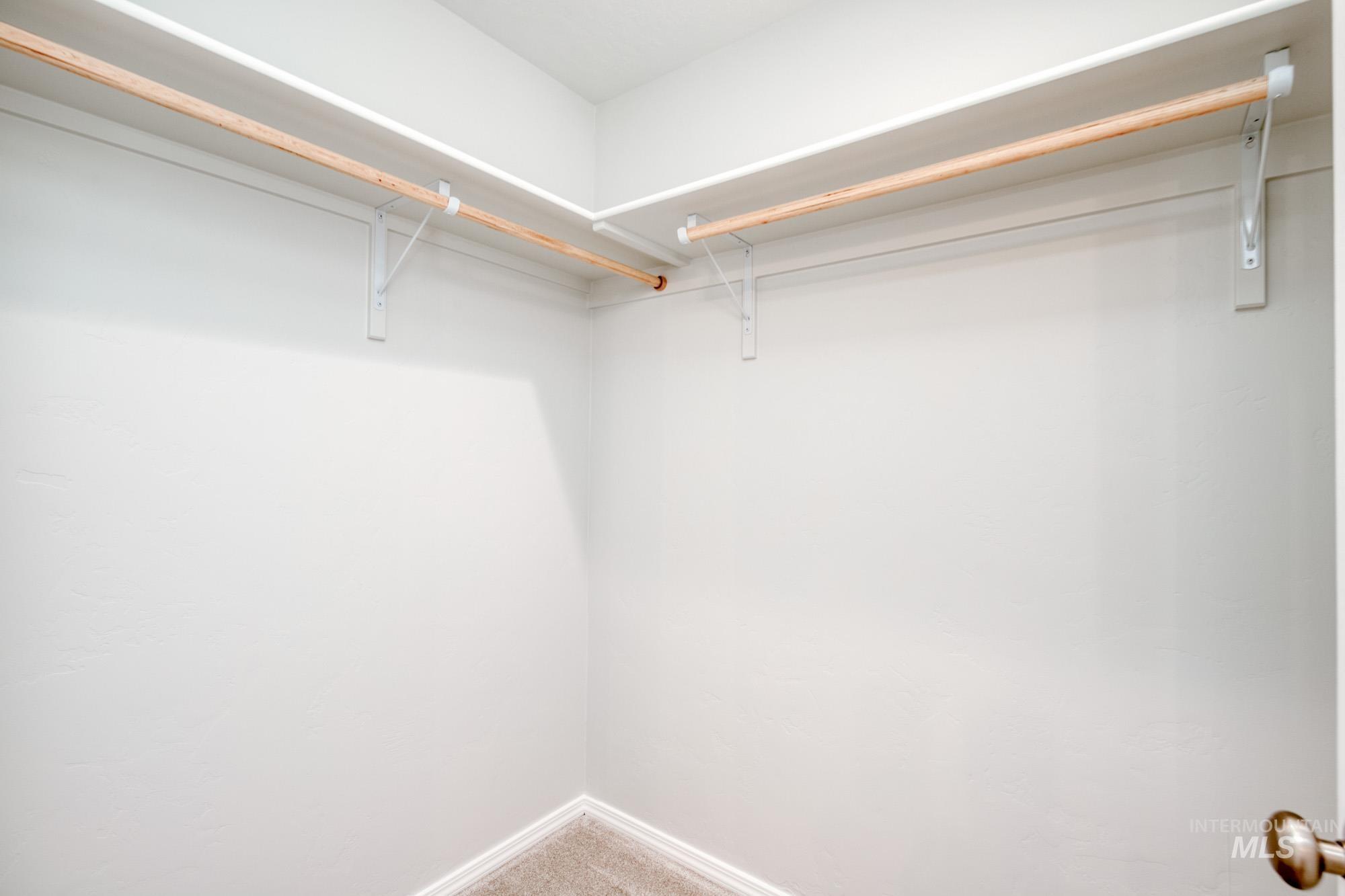 Spacious closet featuring carpet floors