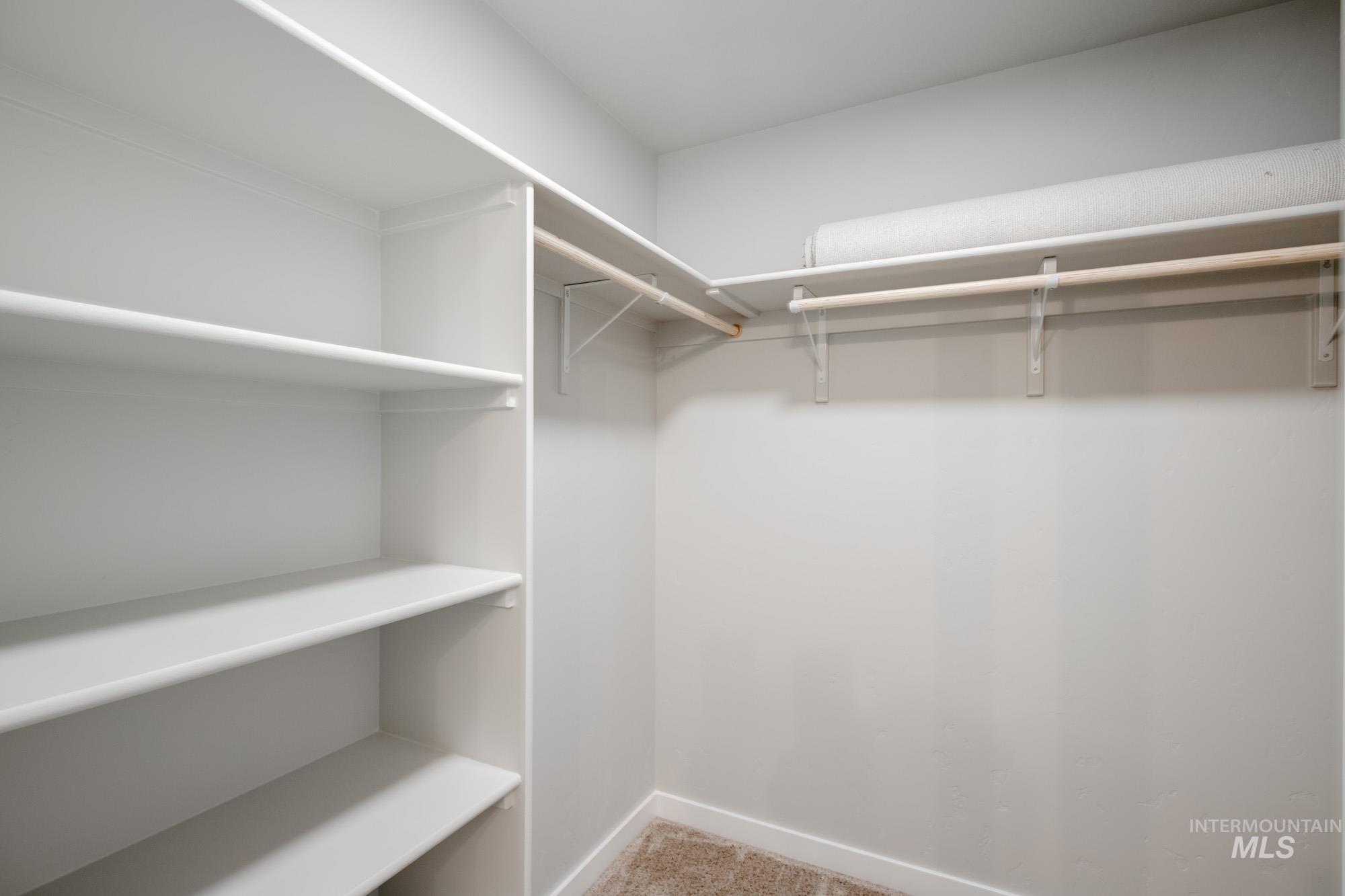 Spacious closet featuring light colored carpet