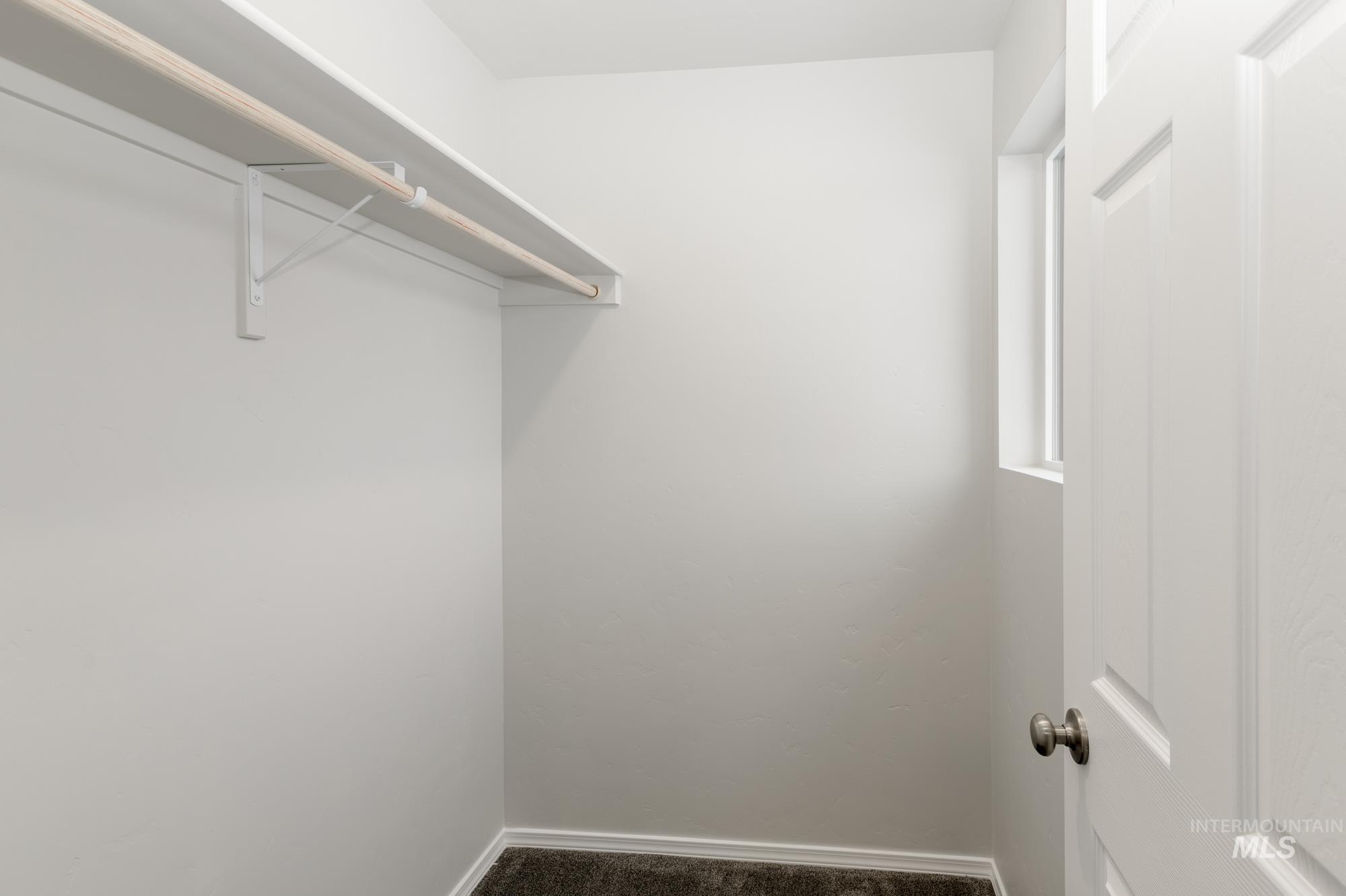 Spacious closet with carpet