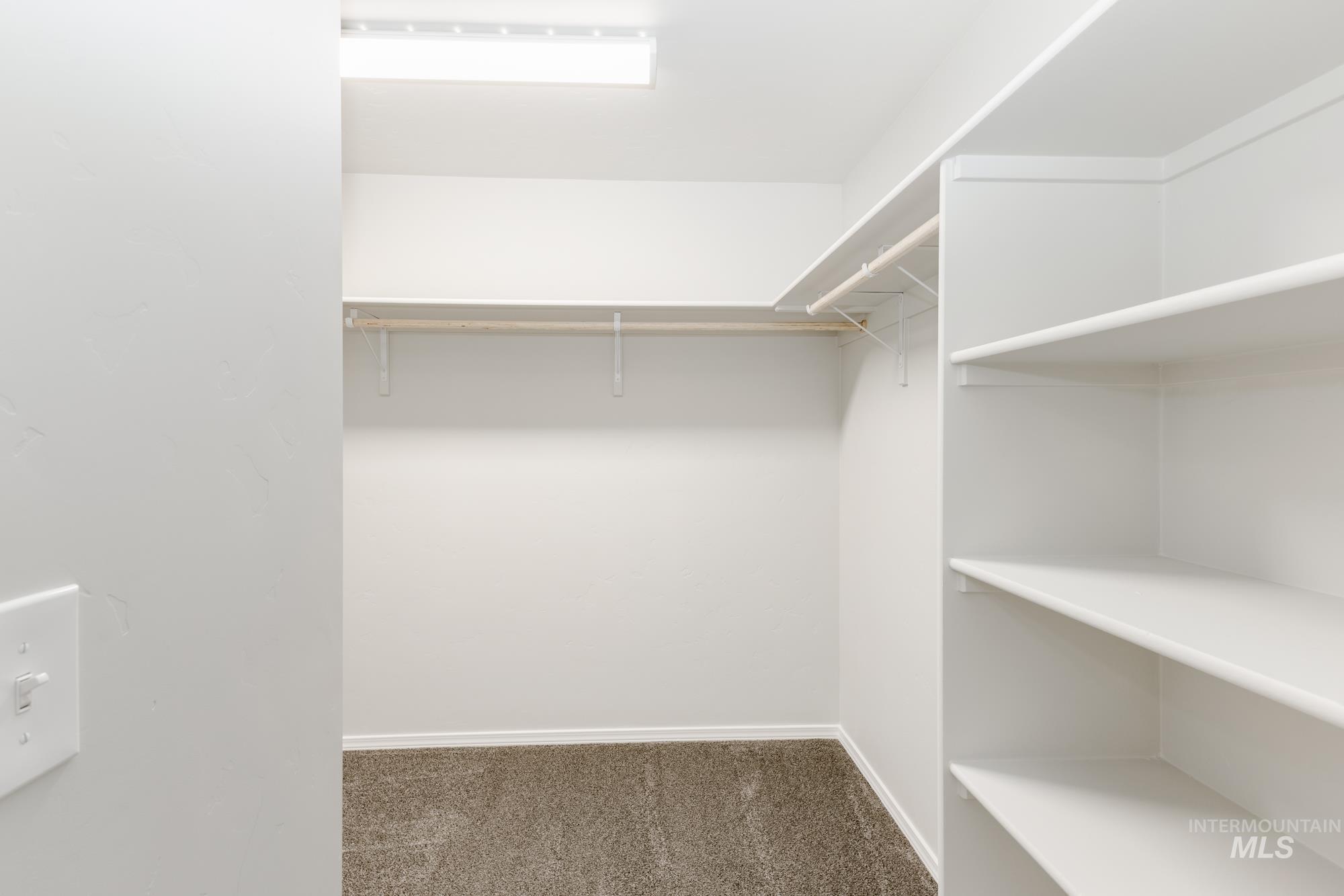 Spacious closet featuring dark carpet