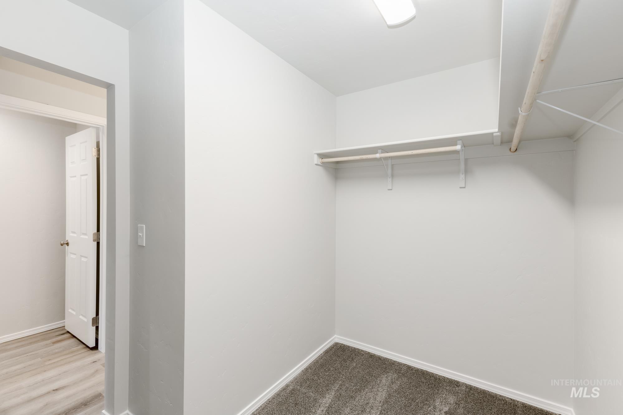 Spacious closet featuring carpet flooring