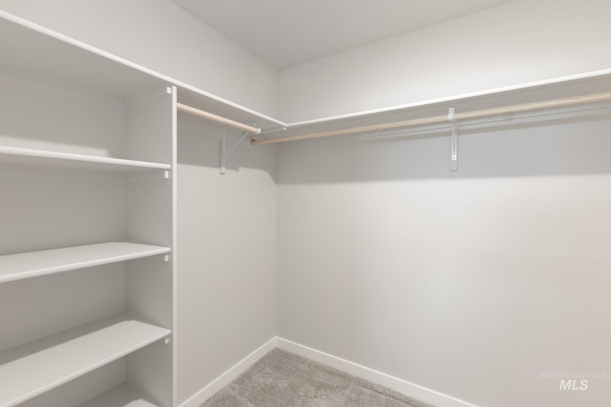 Walk in closet featuring light carpet