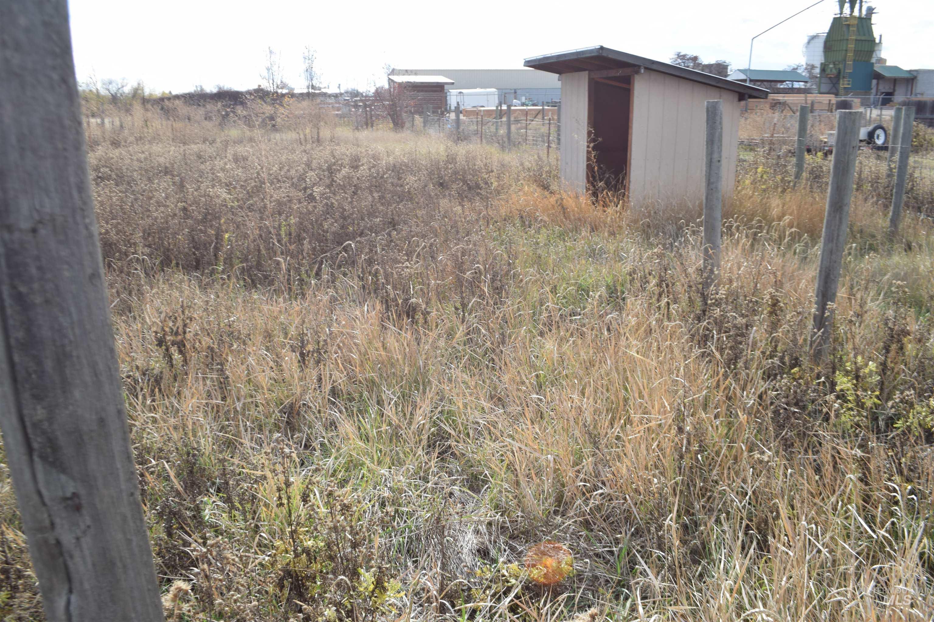 View of yard featuring a storage shed
