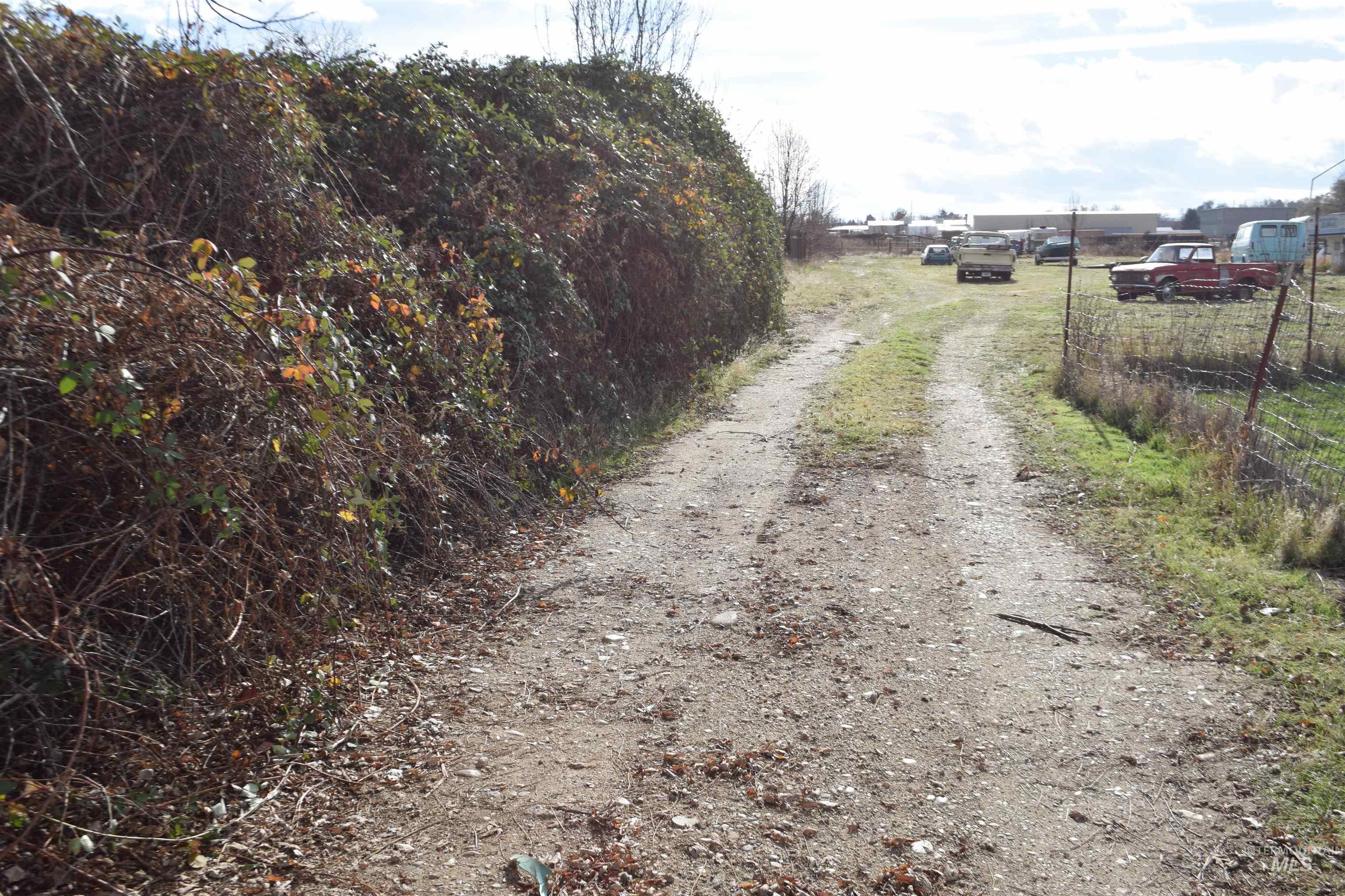 View of dirt / gravel road