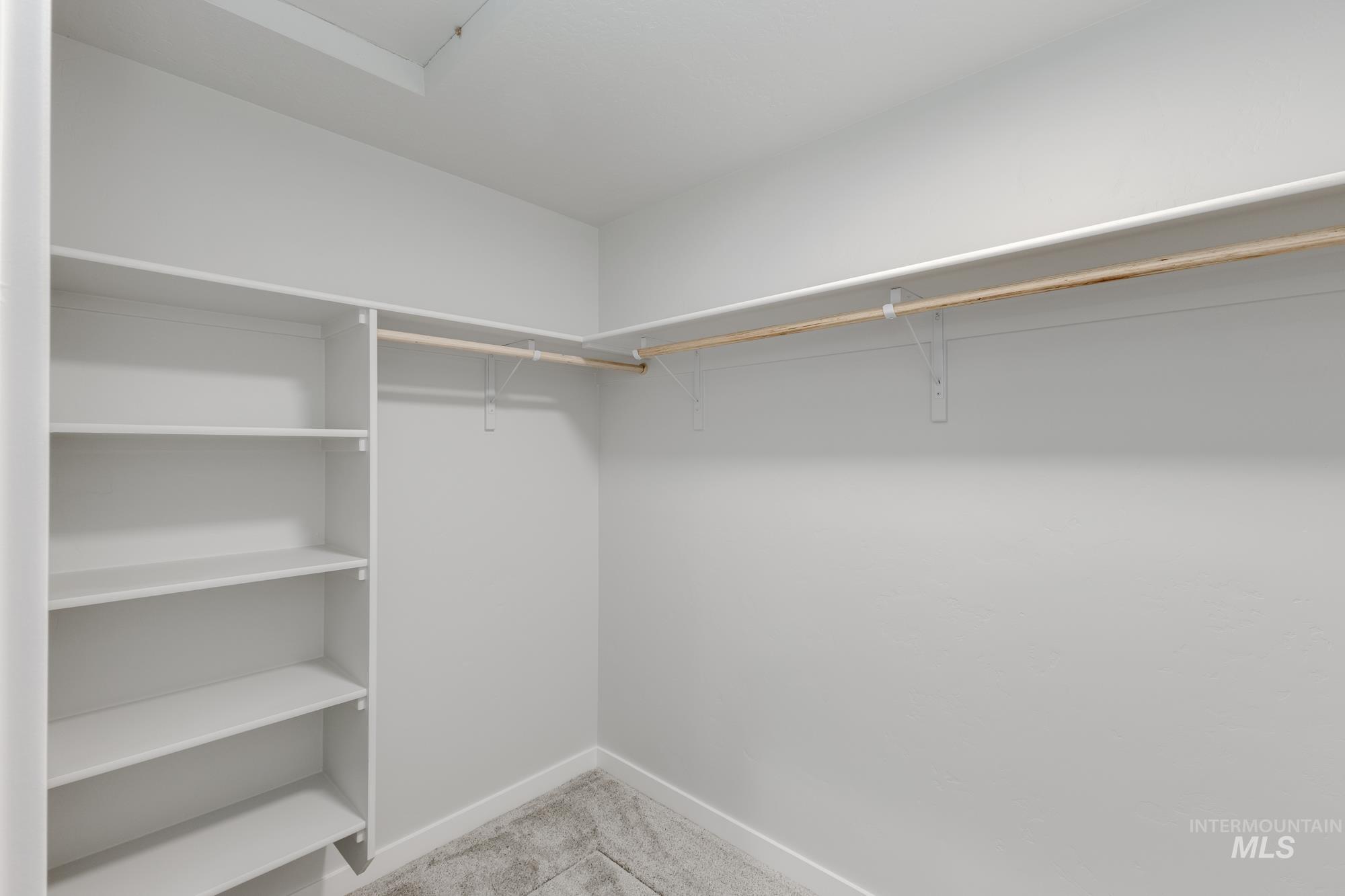 Spacious closet featuring light carpet