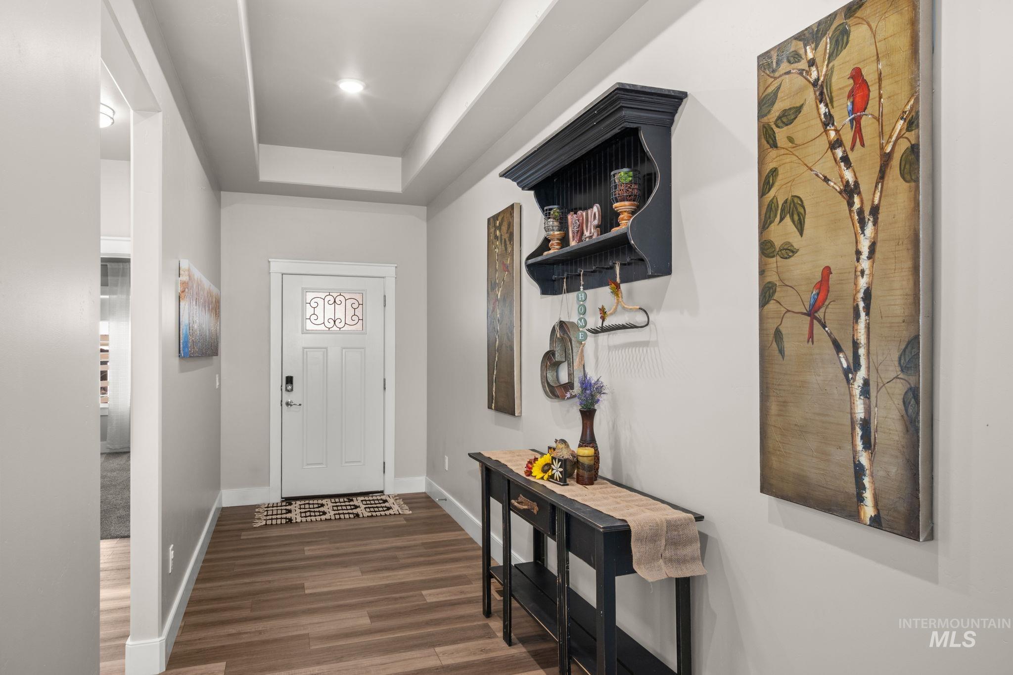 Foyer entrance with a raised ceiling and dark wood-type flooring