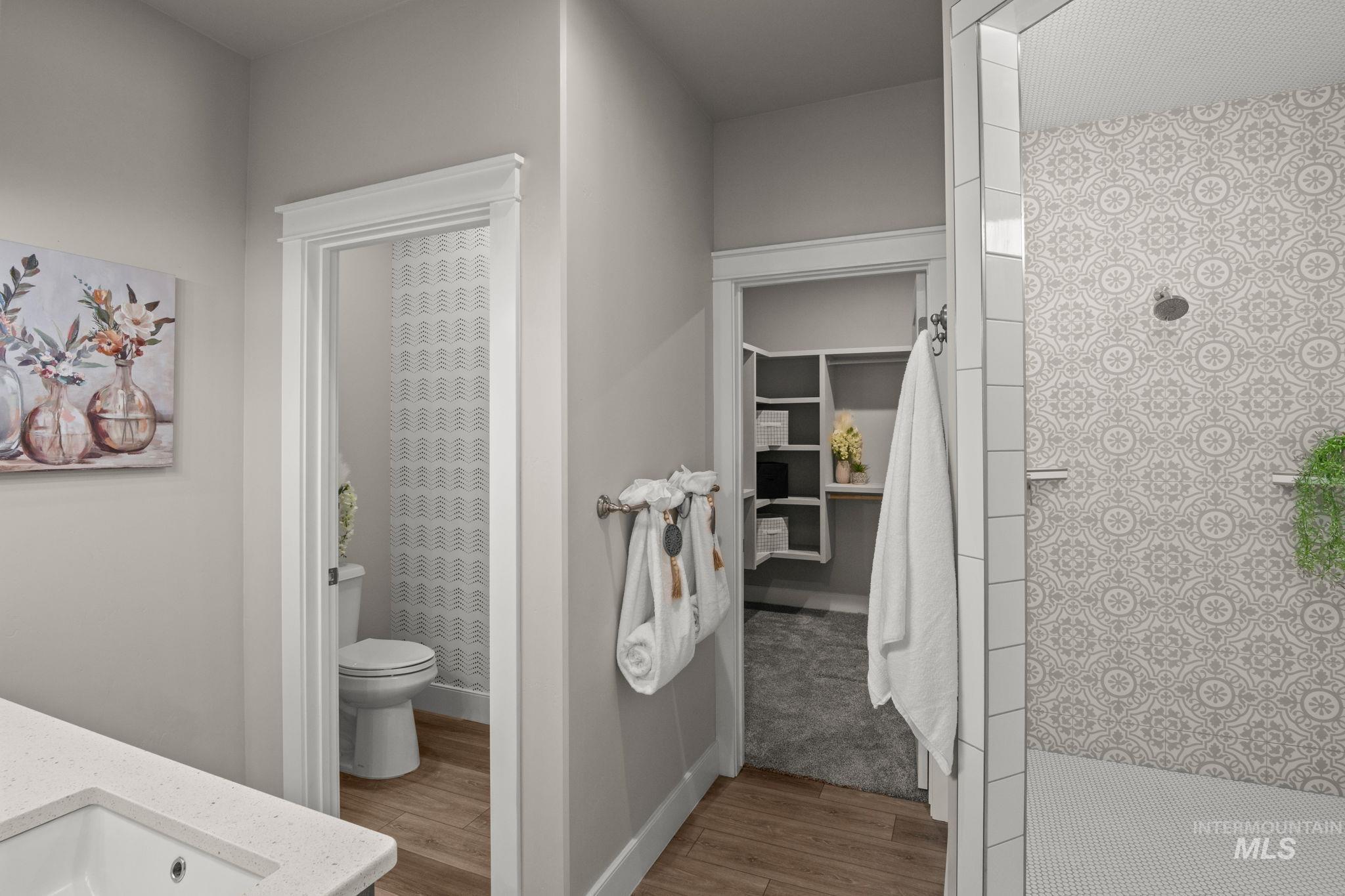 Bathroom featuring light wood-type flooring, tiled shower, vanity, and a spacious closet