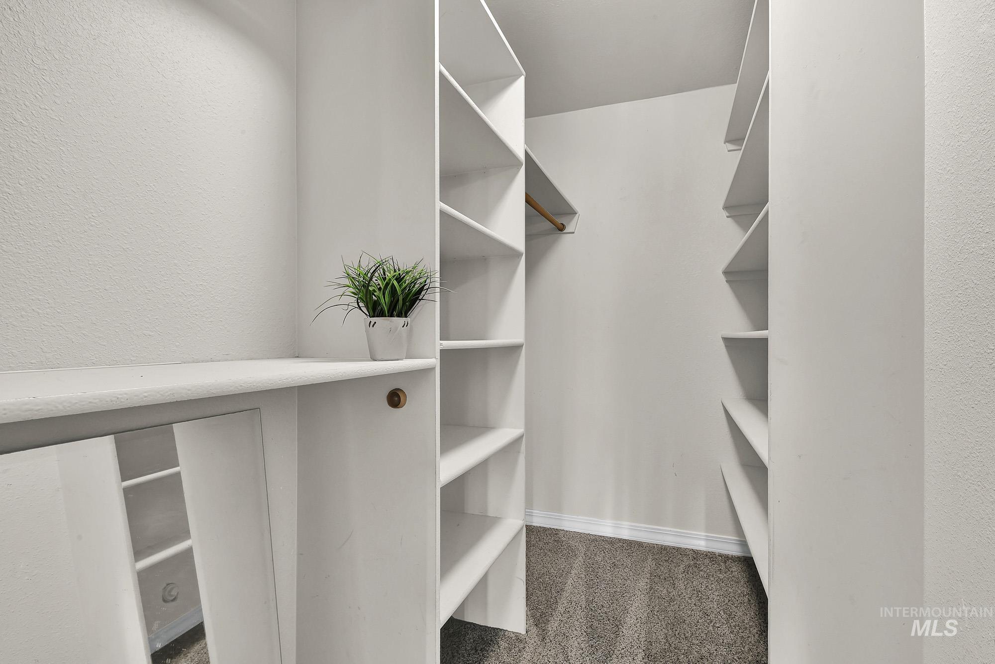 Spacious closet with new carpet