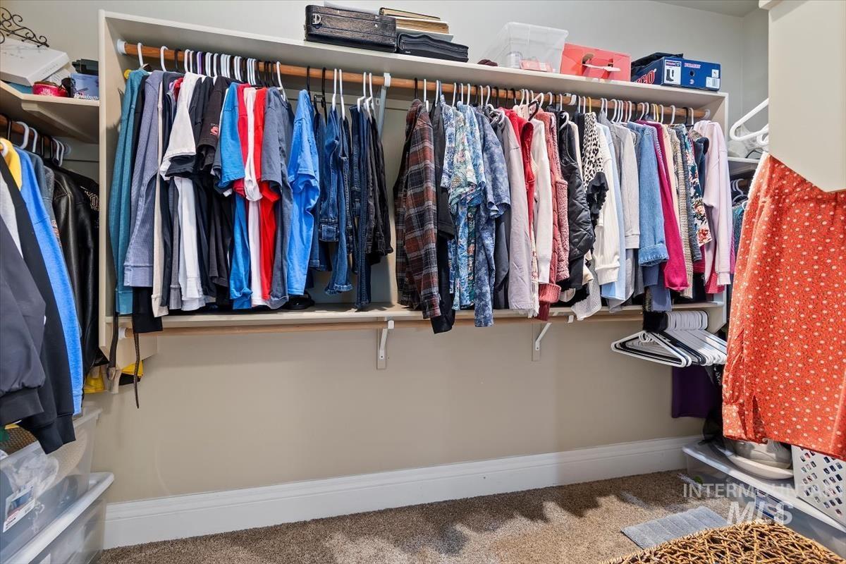 Walk in closet featuring carpet flooring