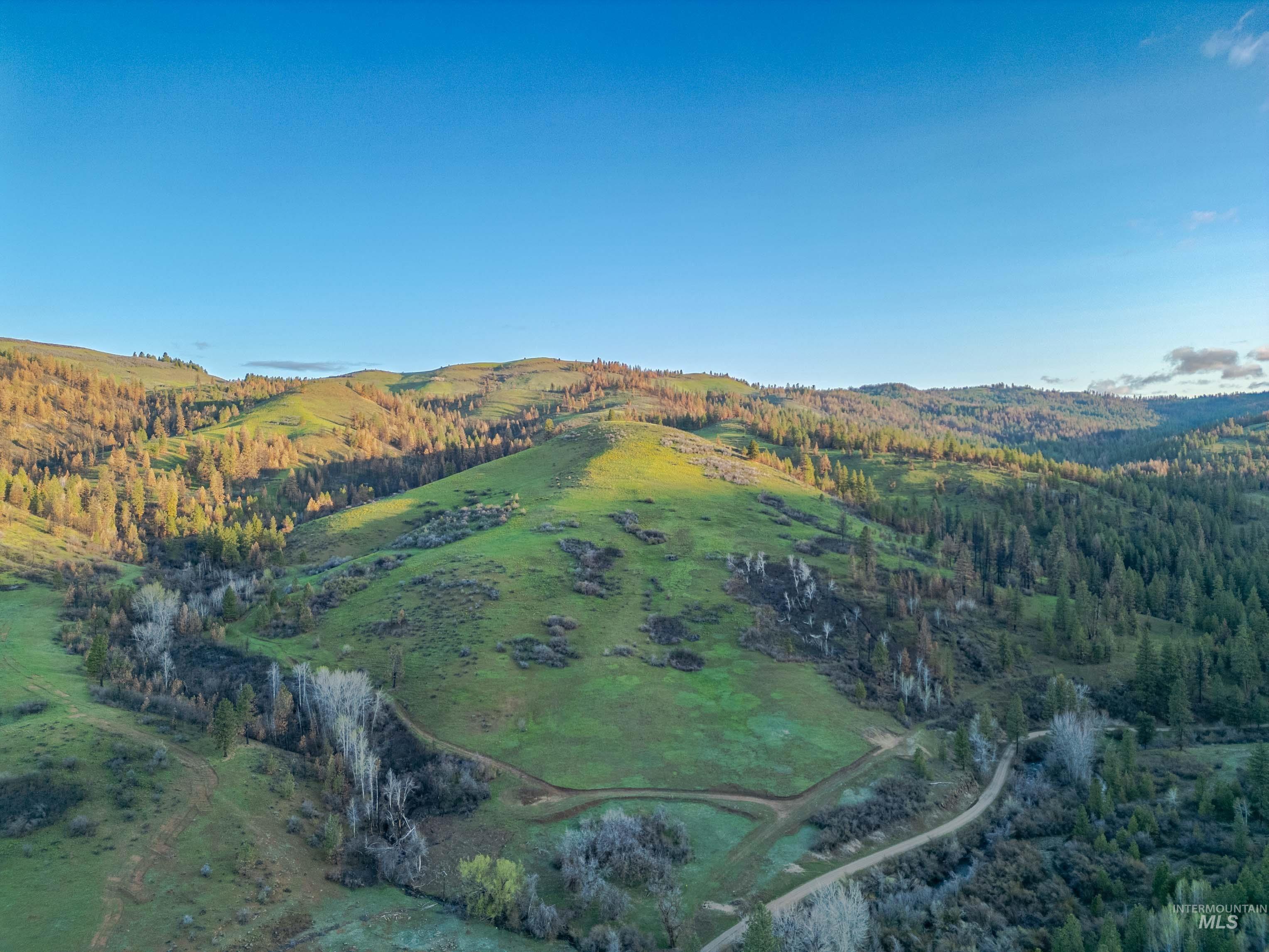 View of mountain backdrop with a heavily wooded area