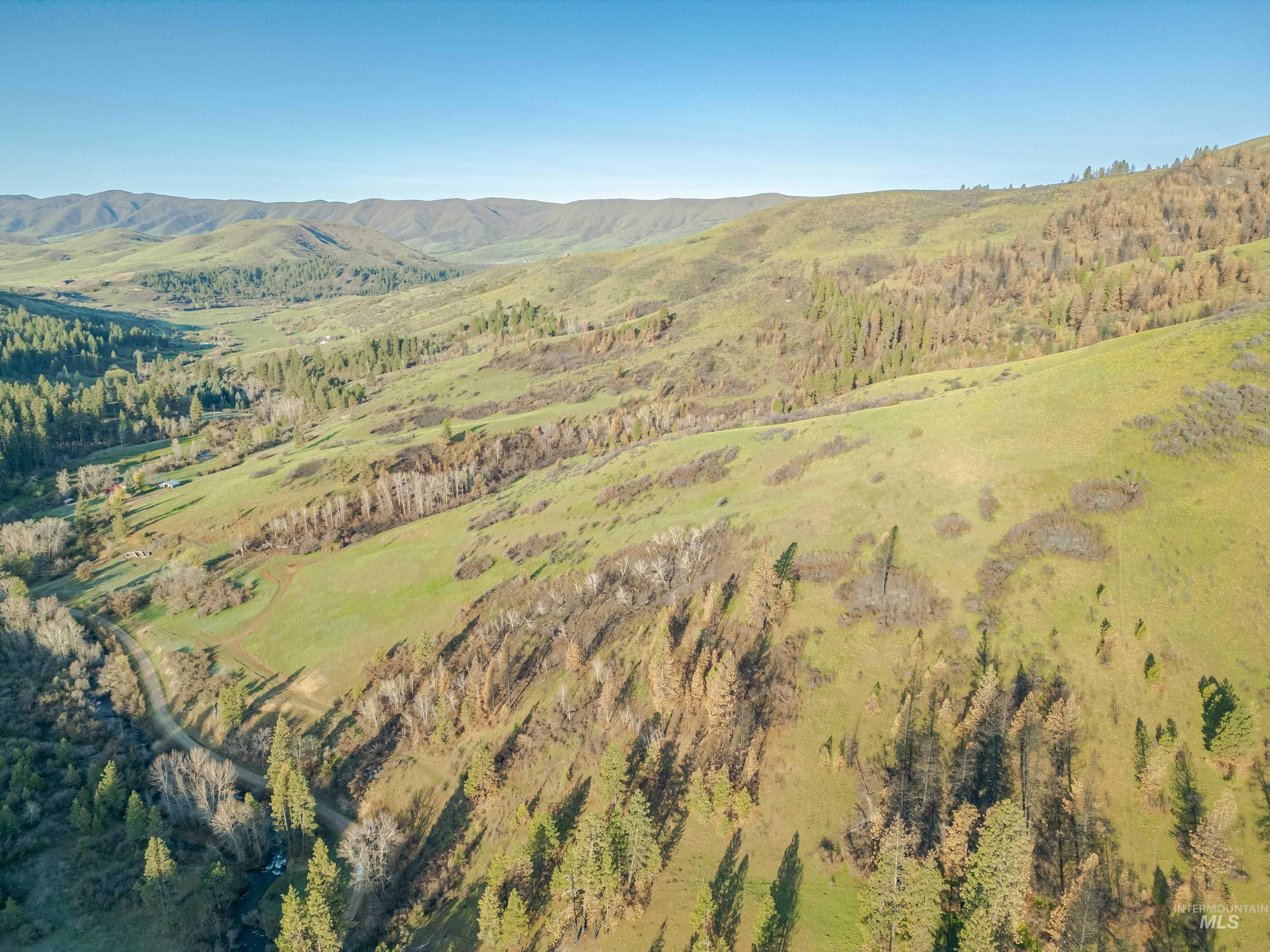 View of mountain backdrop featuring a forest