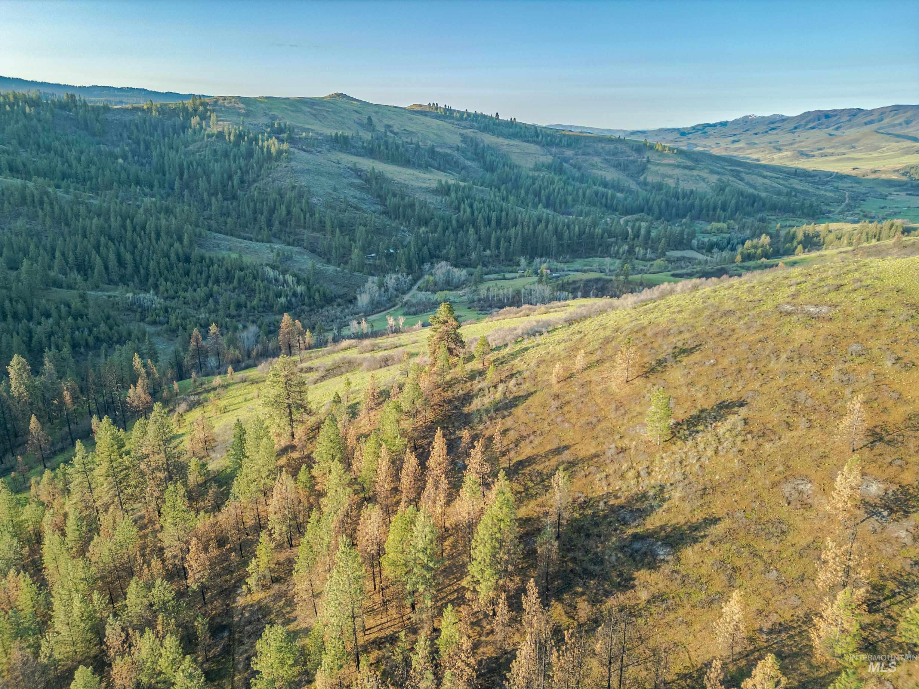 View of mountain background with a forest