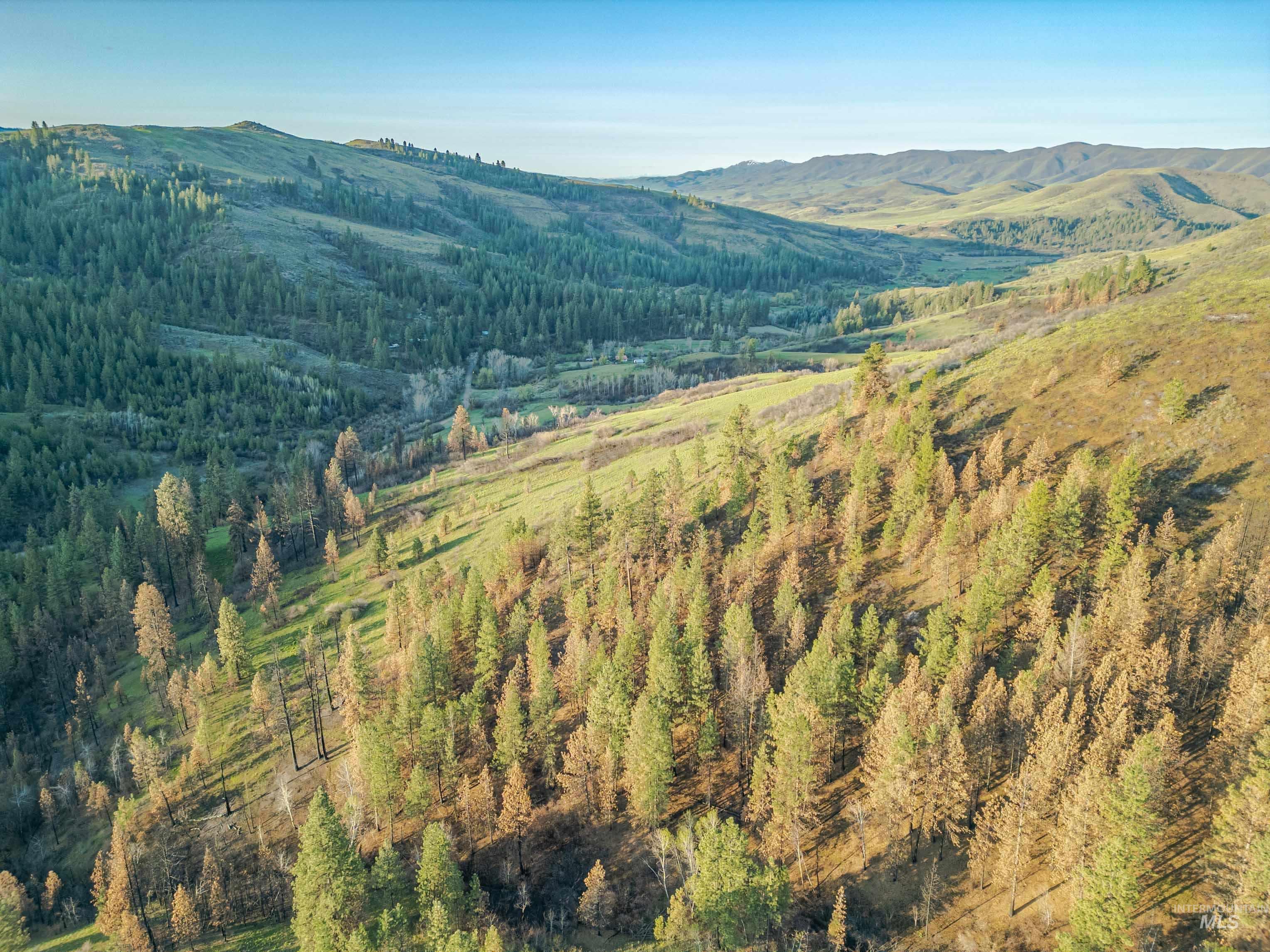 View of mountain backdrop with a forest