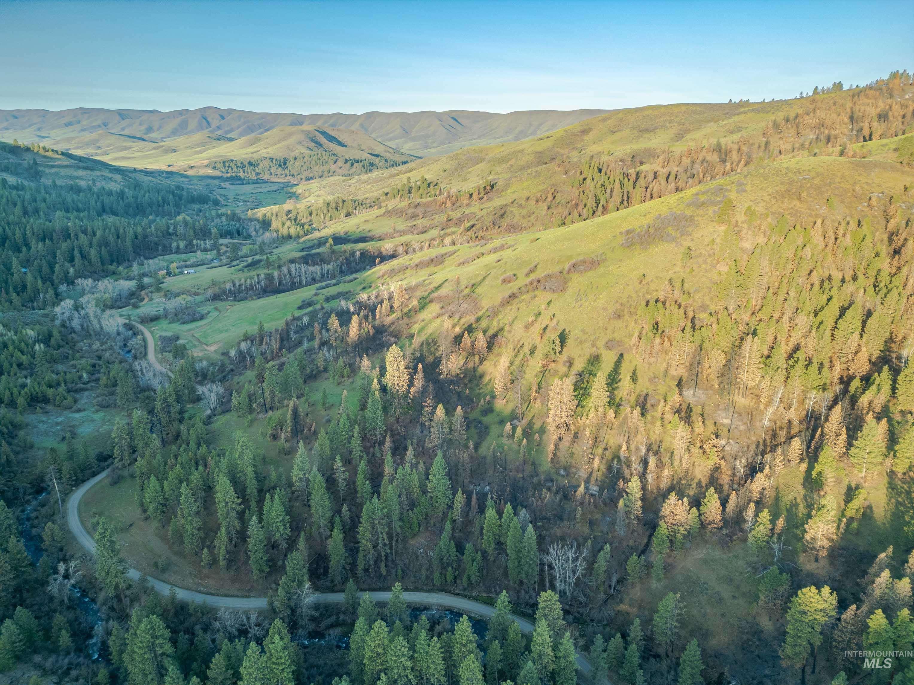 Bird's eye view of mountains and a forest