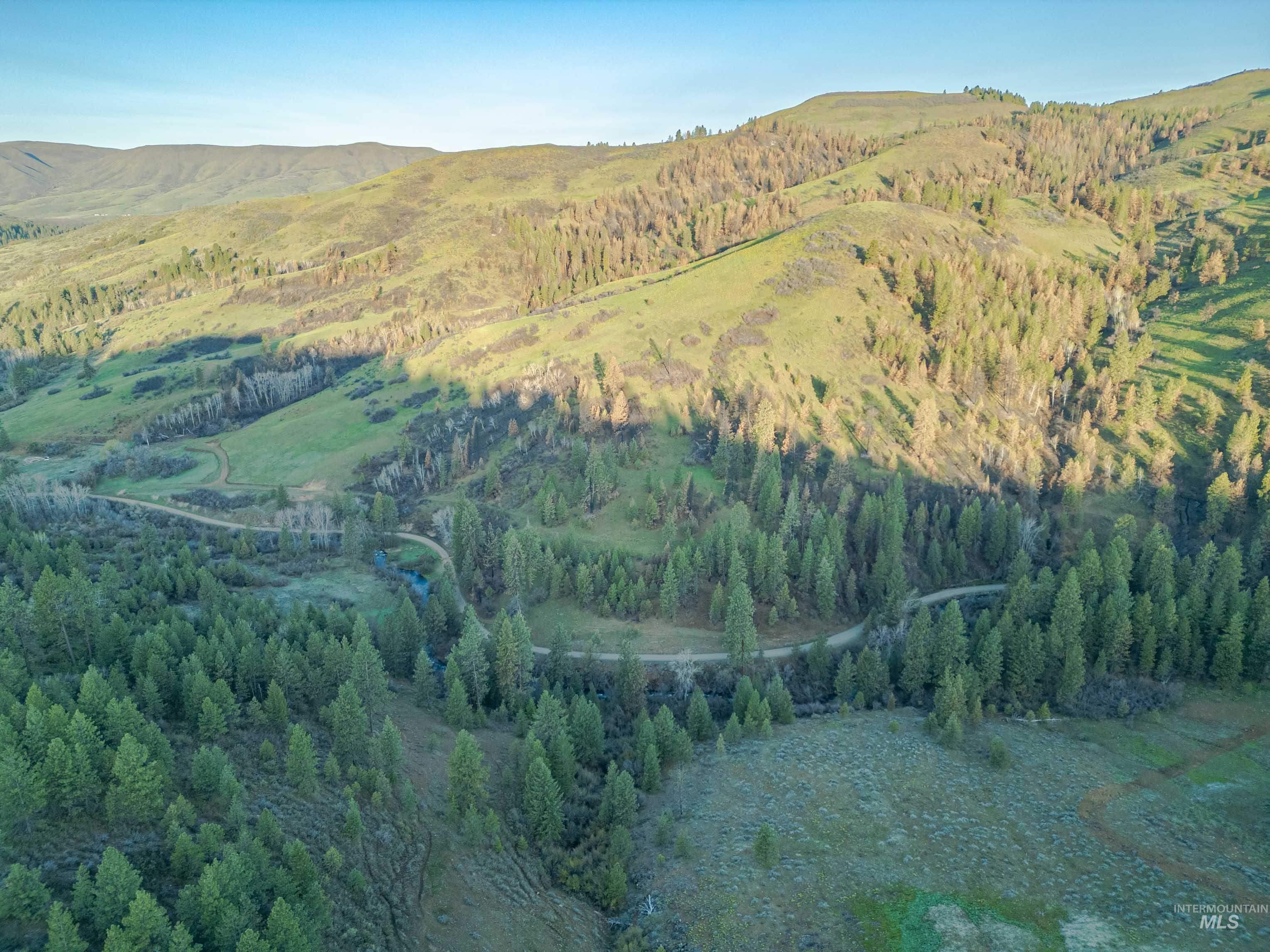 View of mountain background with a heavily wooded area