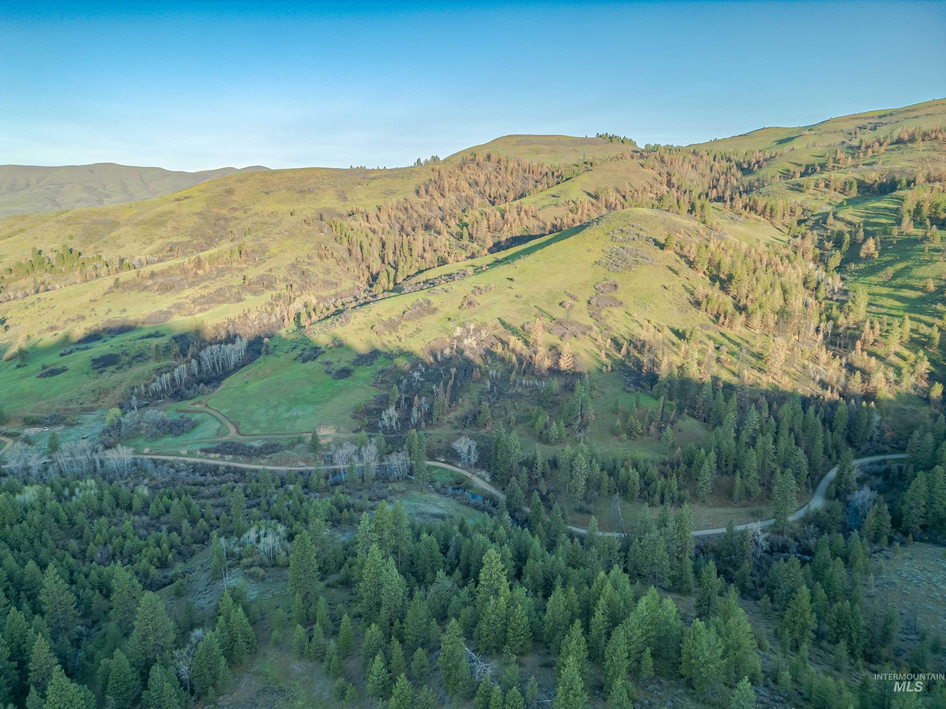 Mountain view with a forest