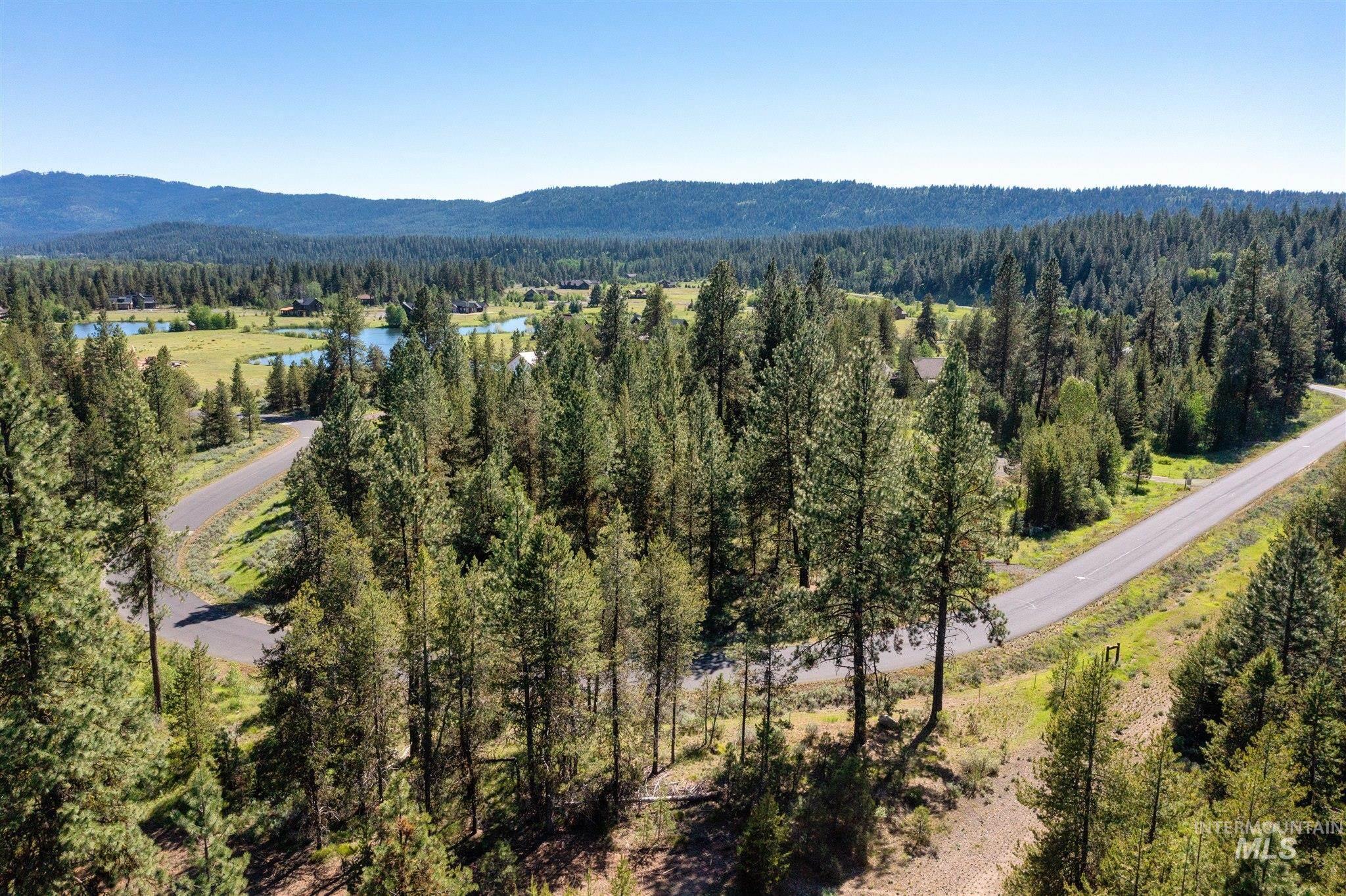 Drone / aerial view of a forest and a water and mountain view