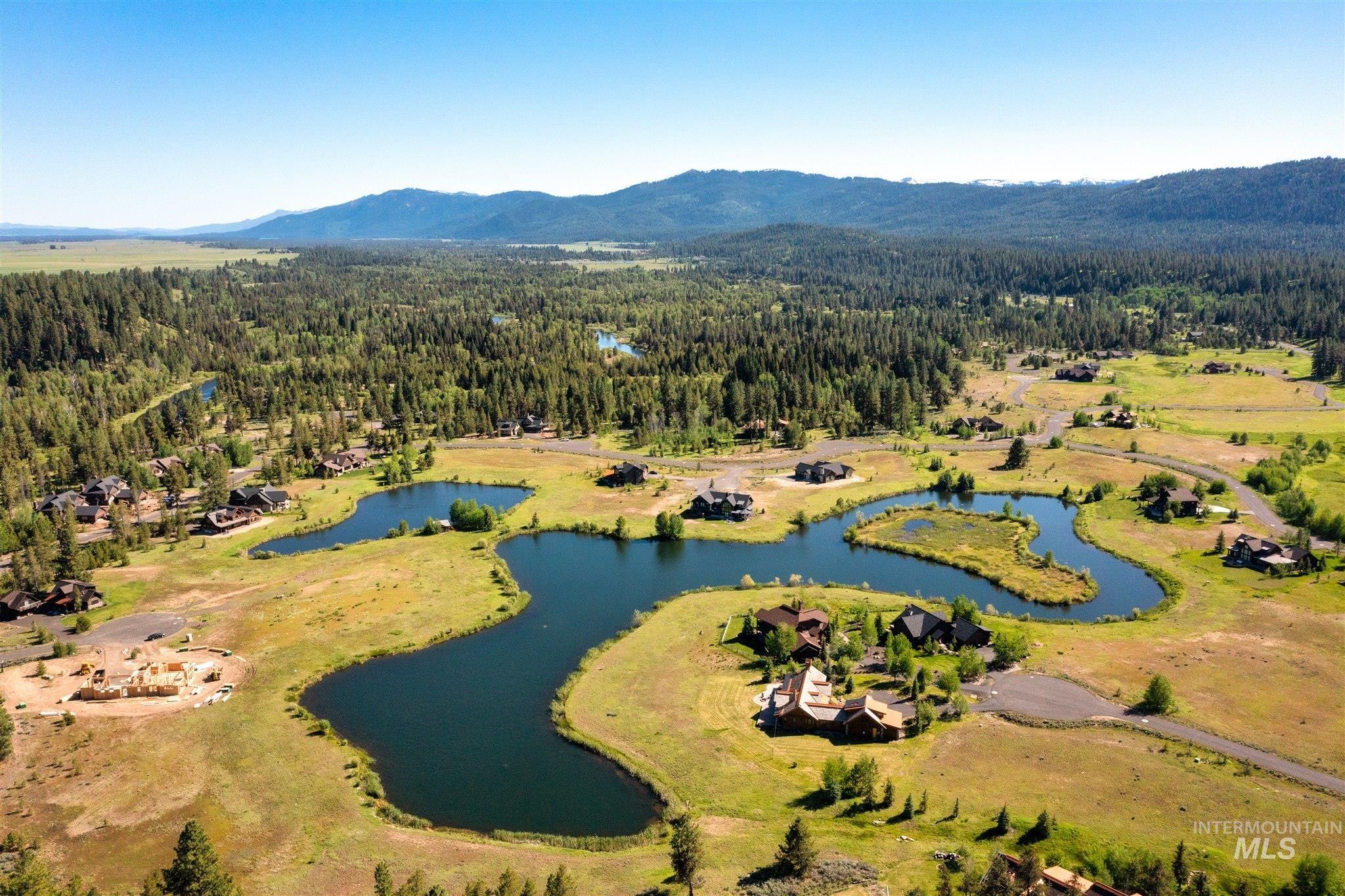 Aerial view of a forest and a water and mountain view