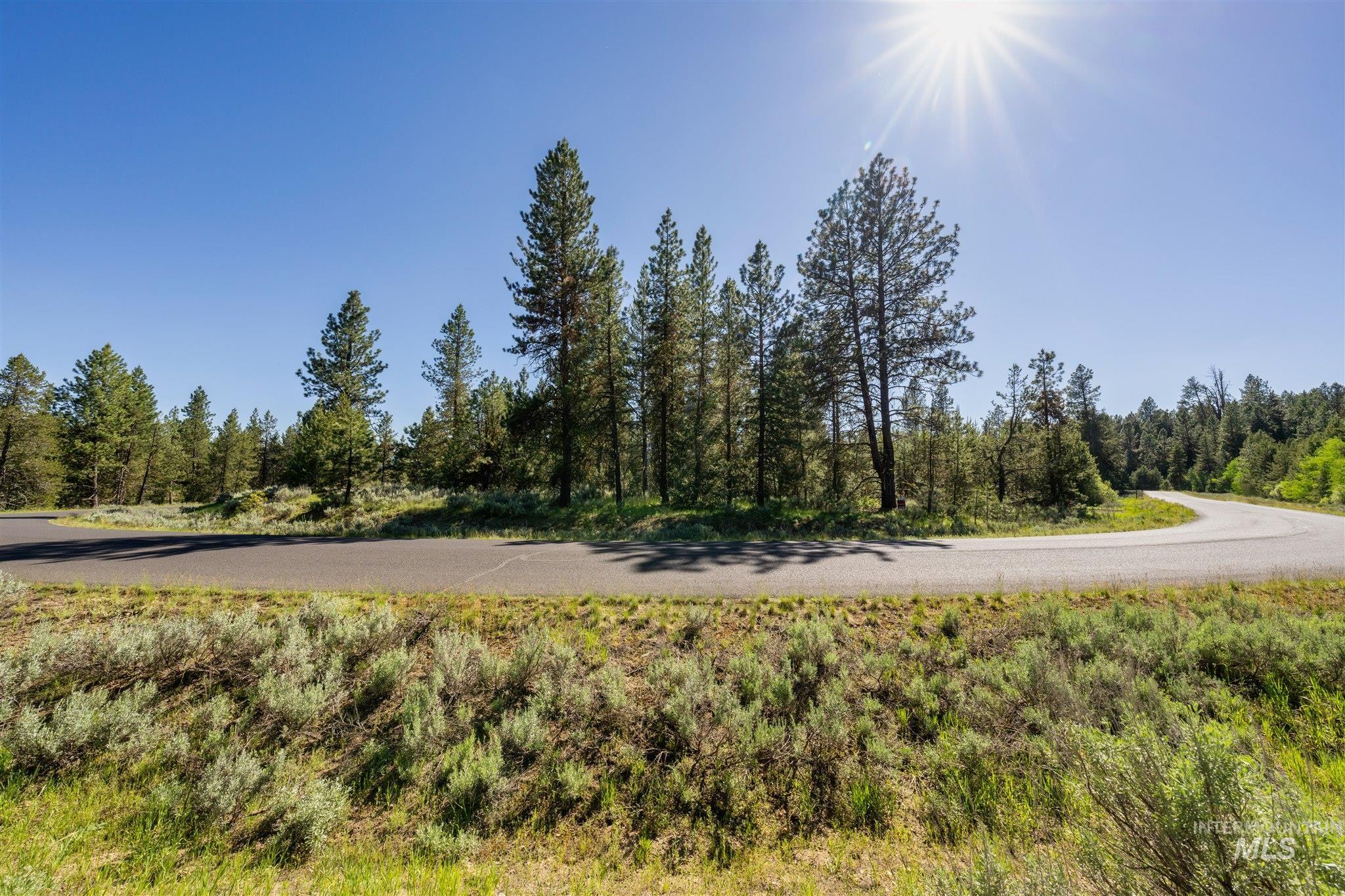 View of asphalt road with a wooded view