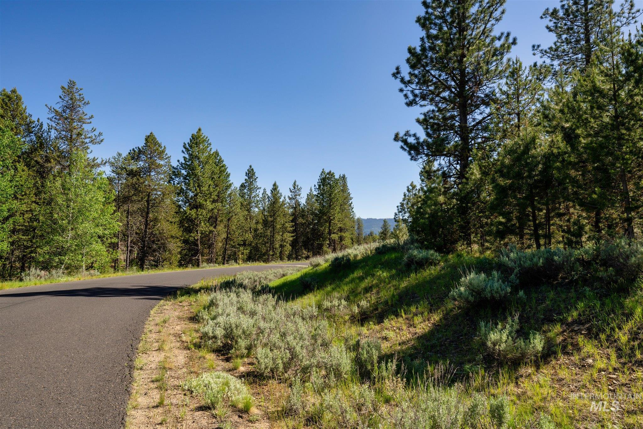 View of asphalt road with a view of trees