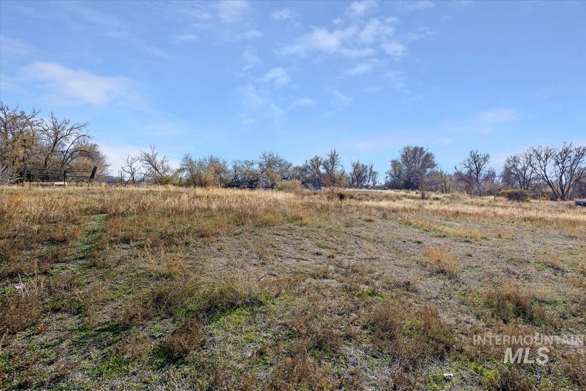 View of local wilderness with rural landscape