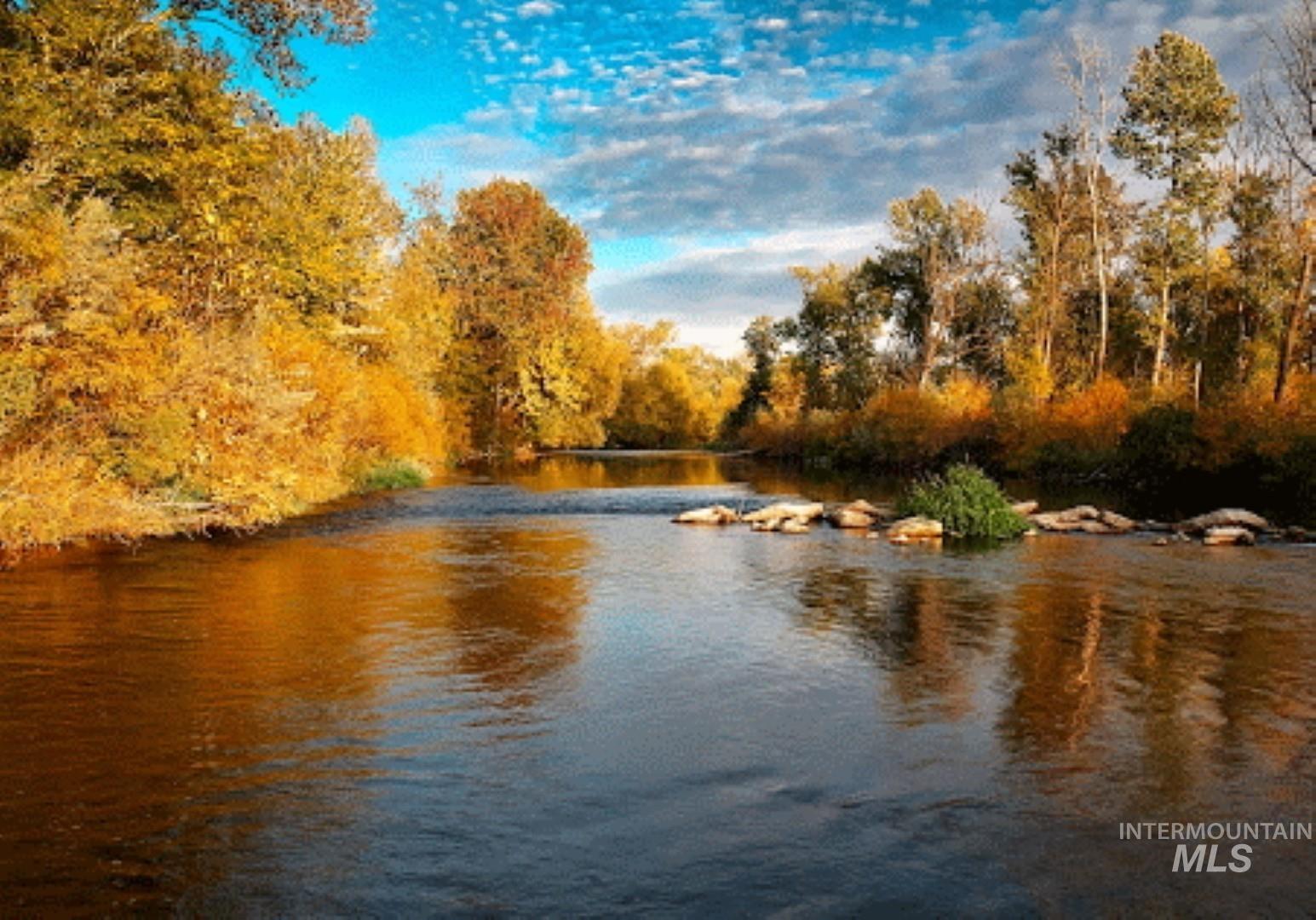 Water view with a heavily wooded area