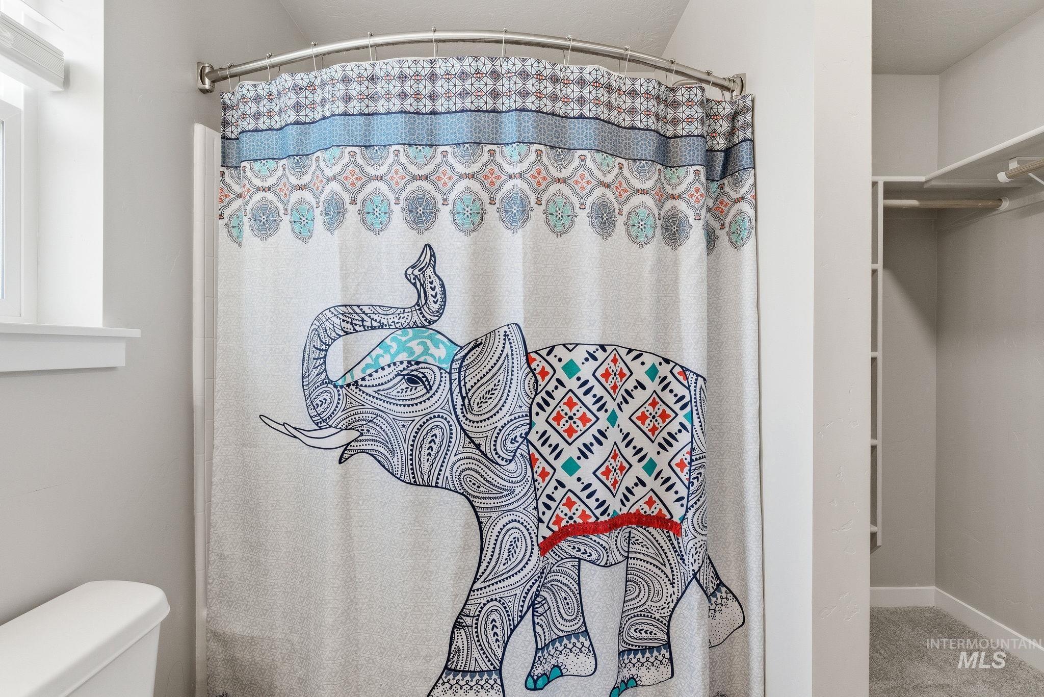 Full bath with a shower with shower curtain and carpet