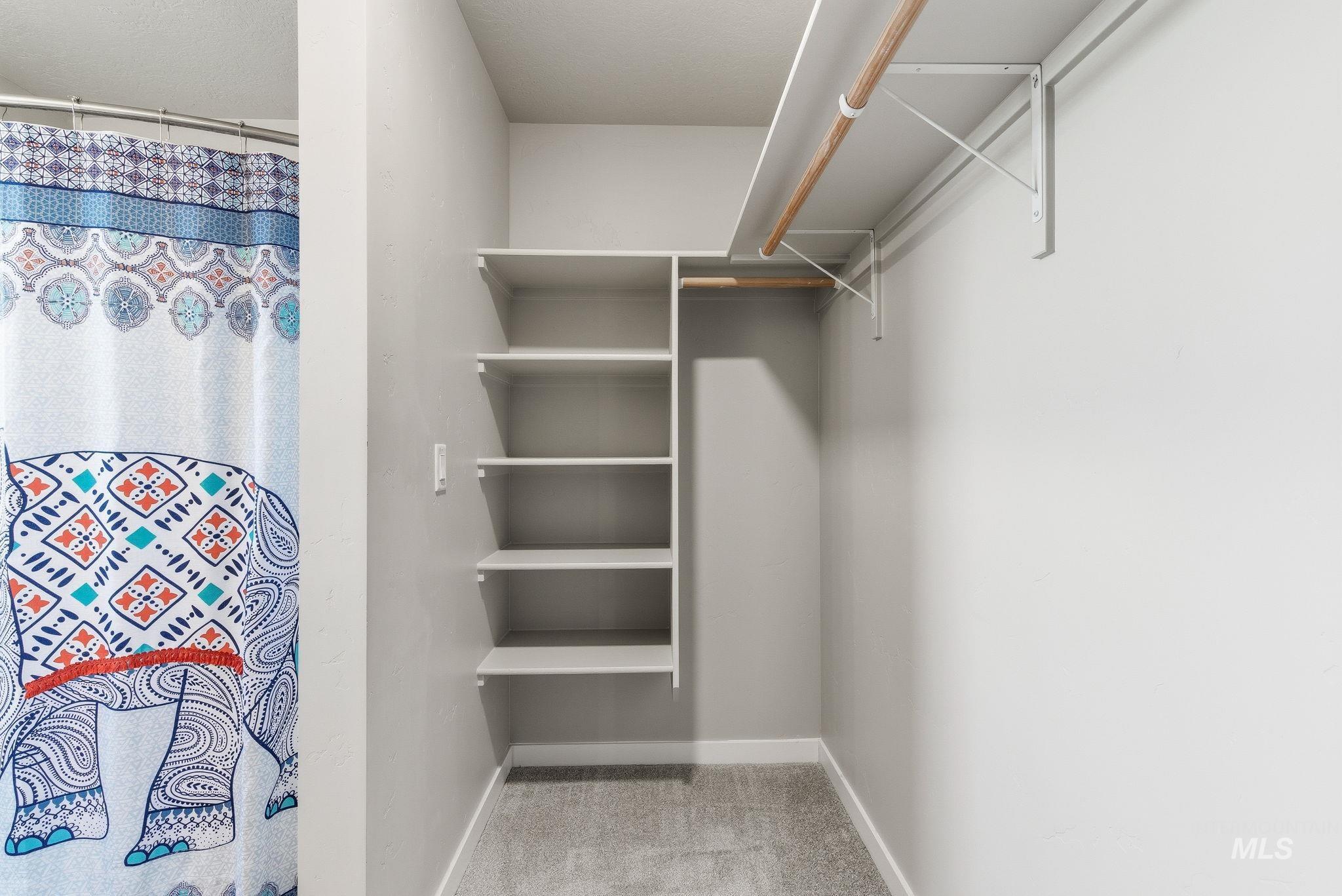 Spacious closet featuring light carpet